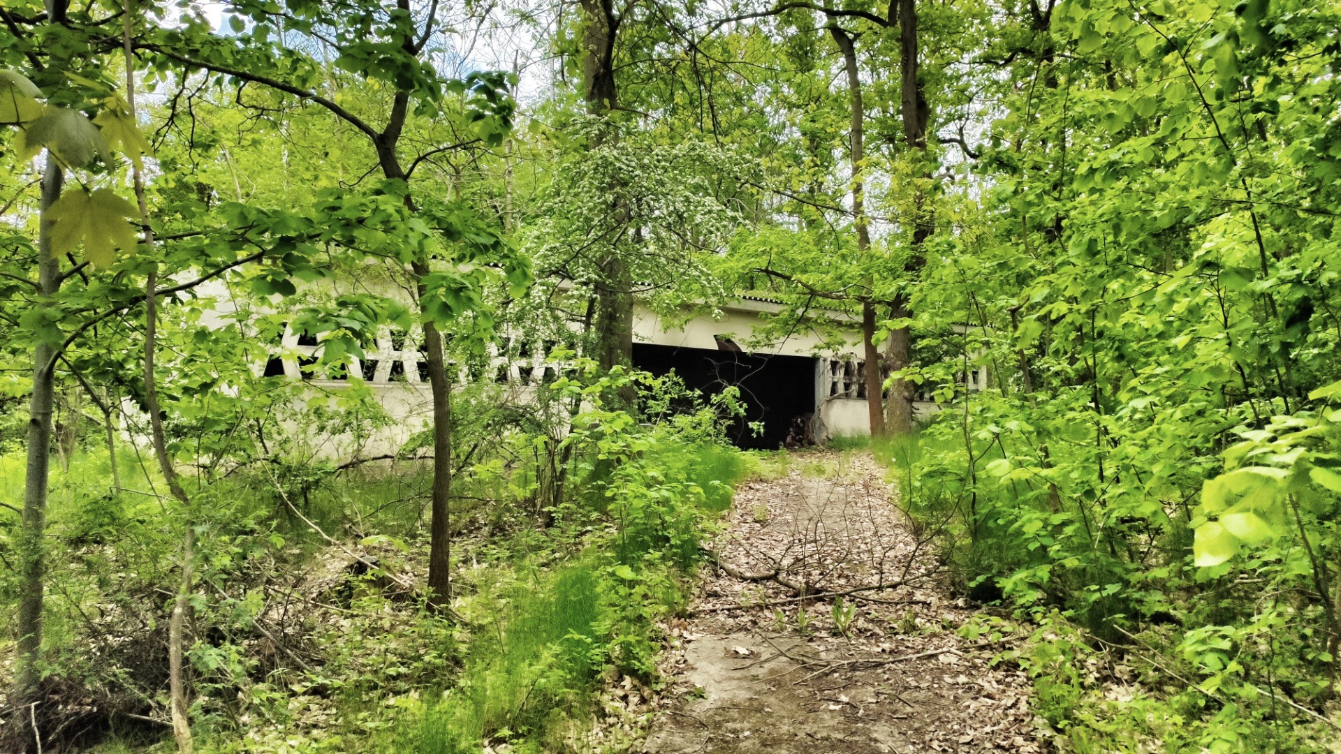 Nearer to one of the shelters