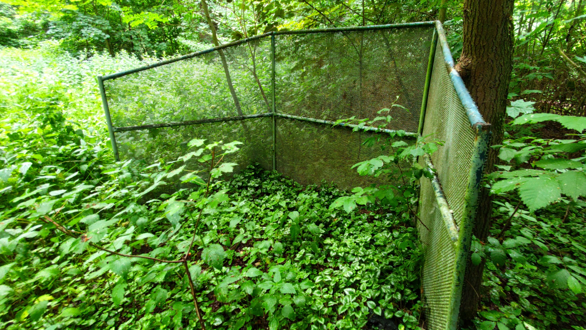 The remainings of the Mini Golf area