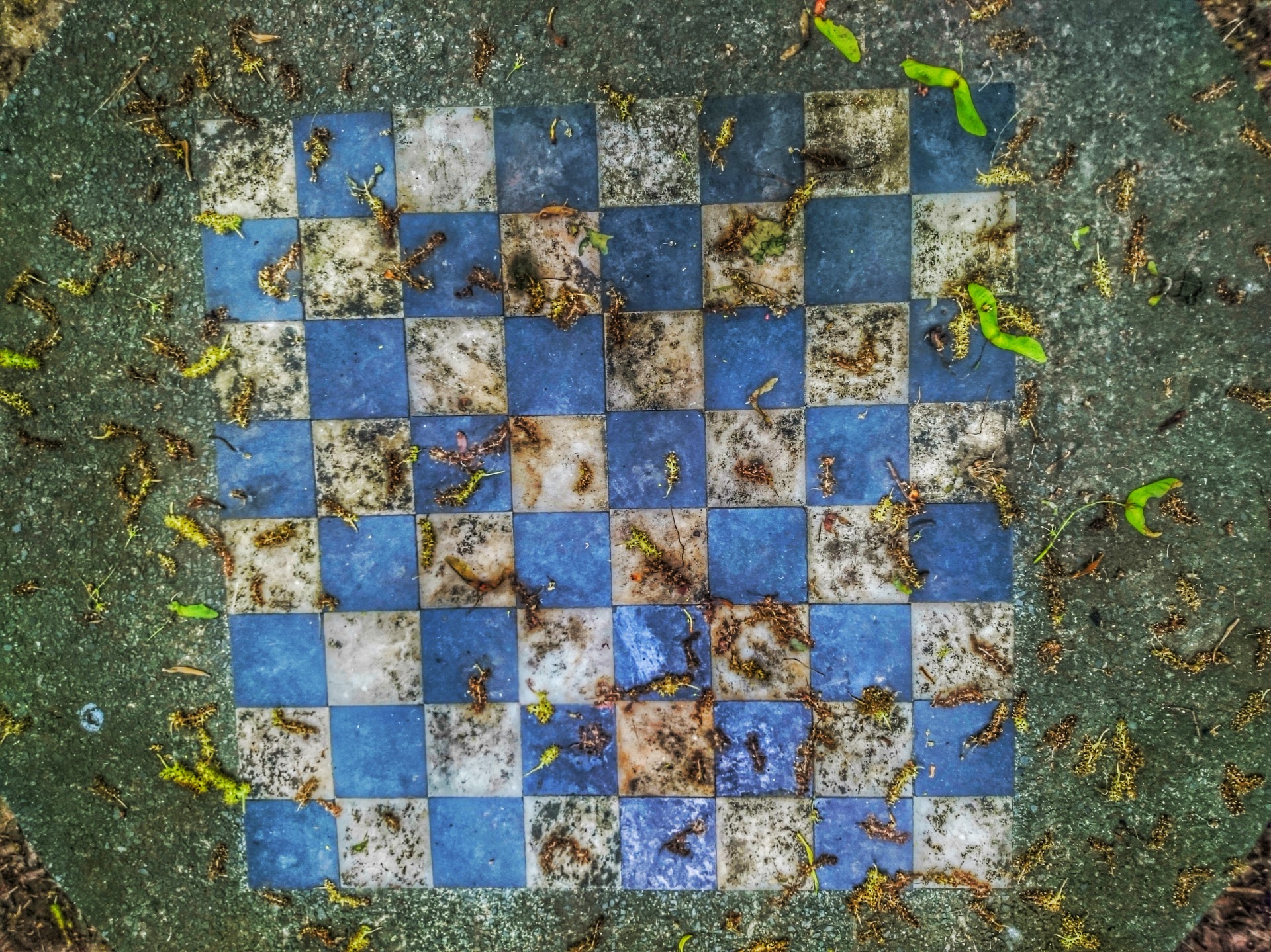The chess boards are 50 years old