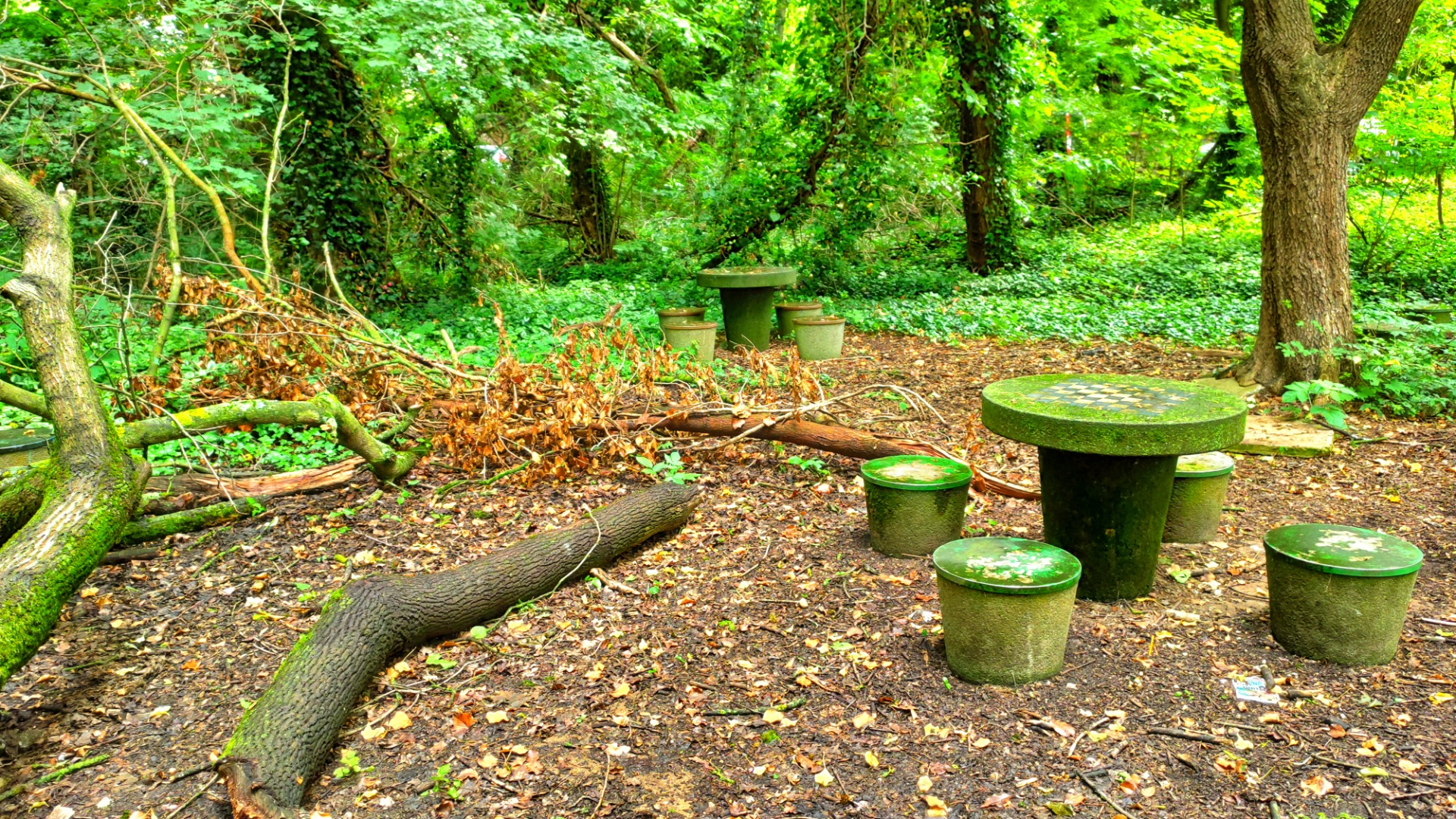 Falling trees instead of chess: German Decay