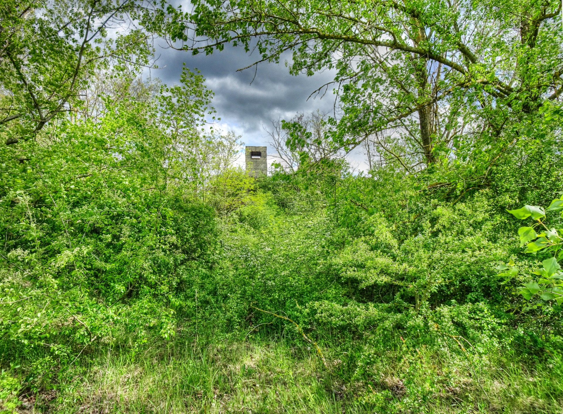 The tower seen from away
