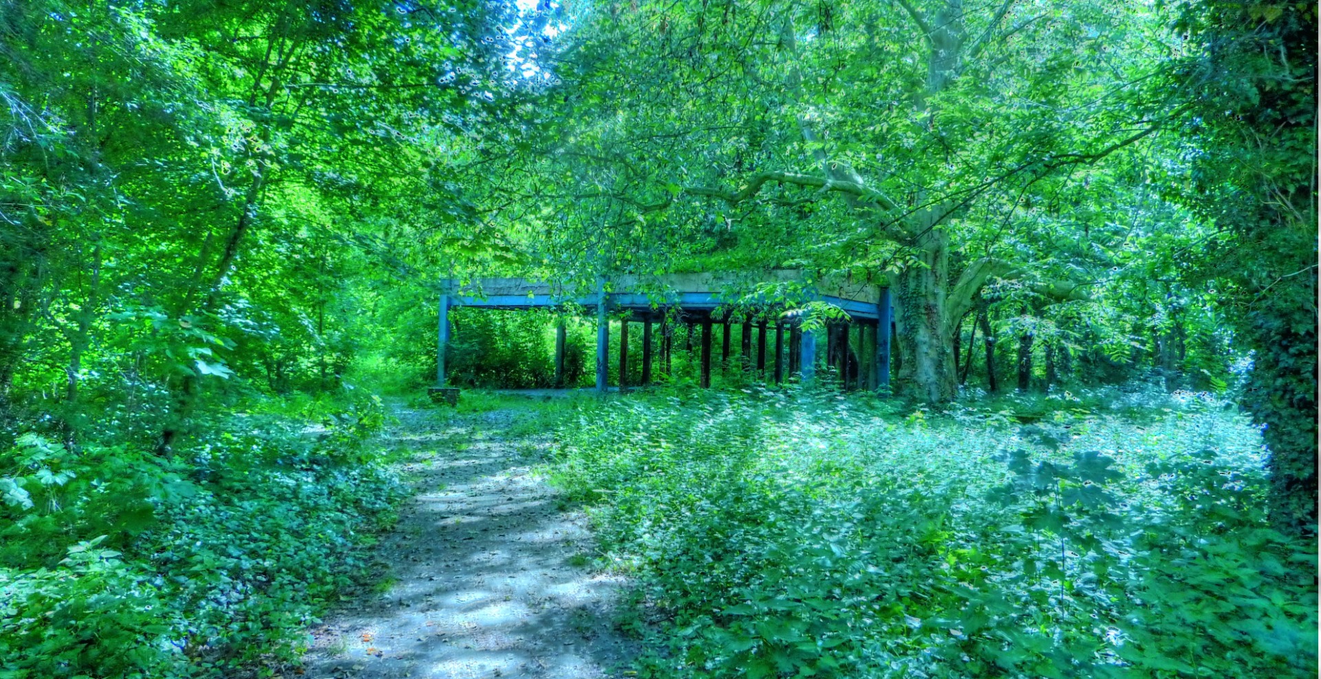It’s like a building in a jungle
