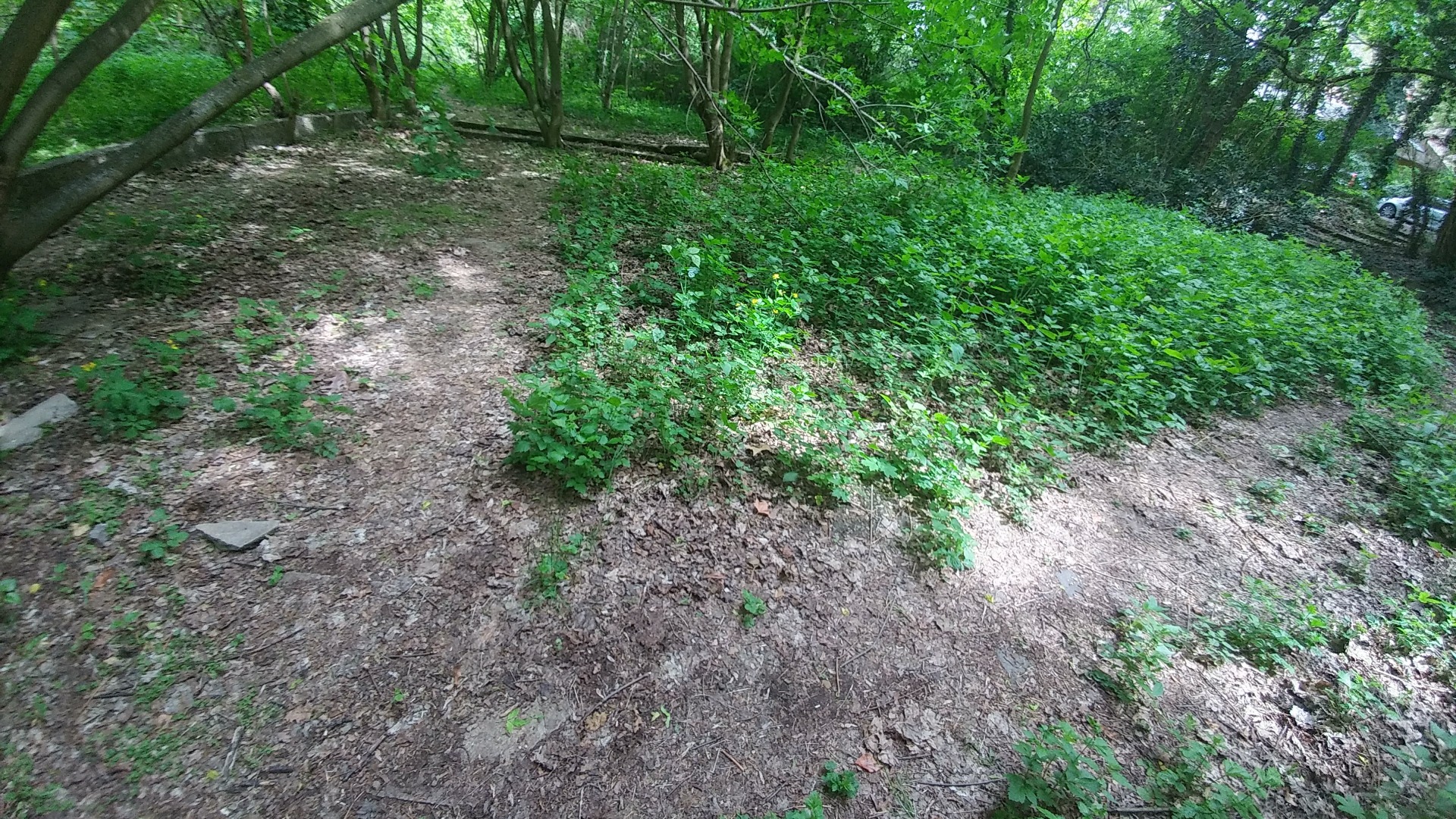 Under the ground are some playgrounds for Boule