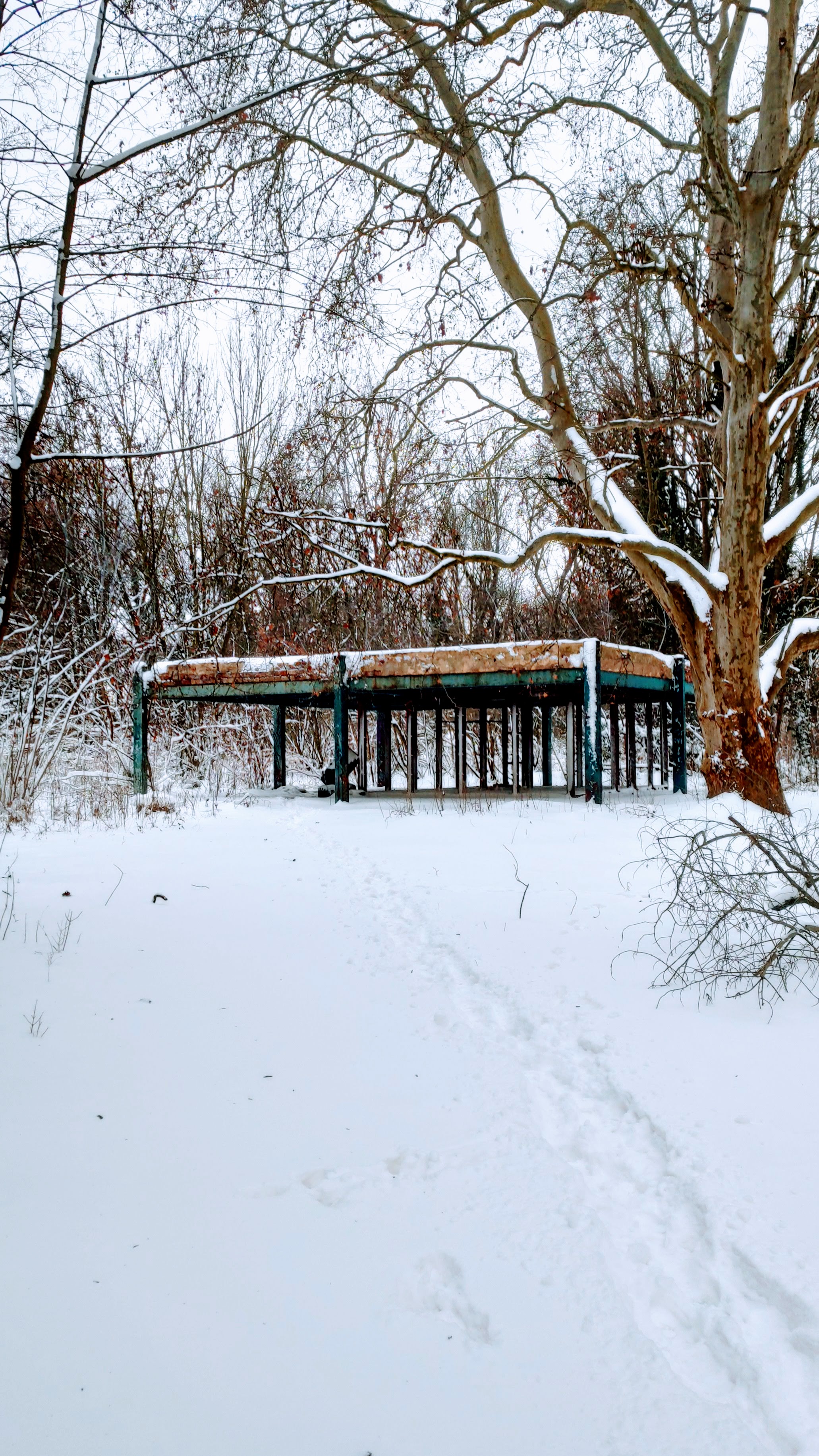 The place in winter