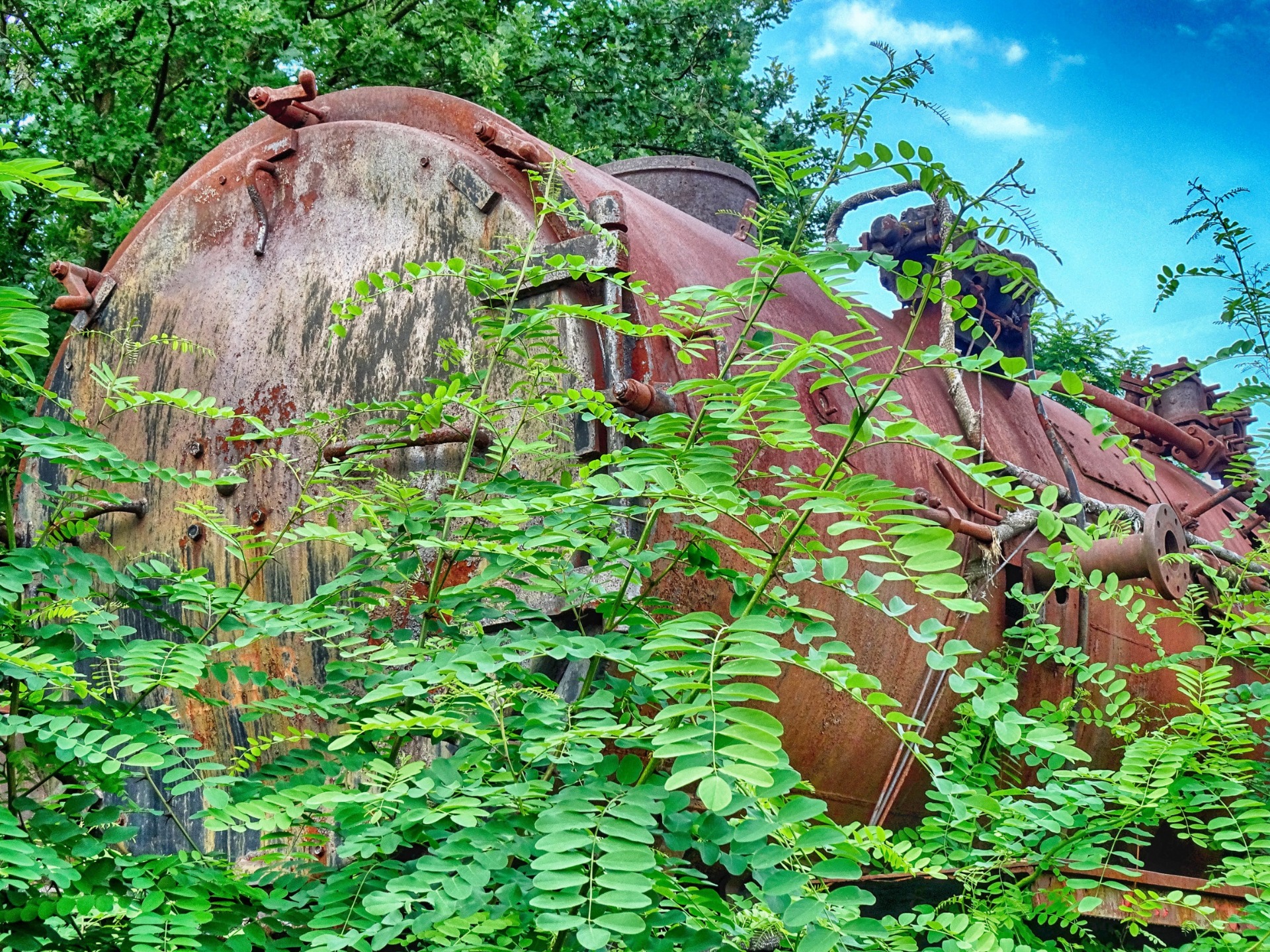 Nature fights against the iron horses