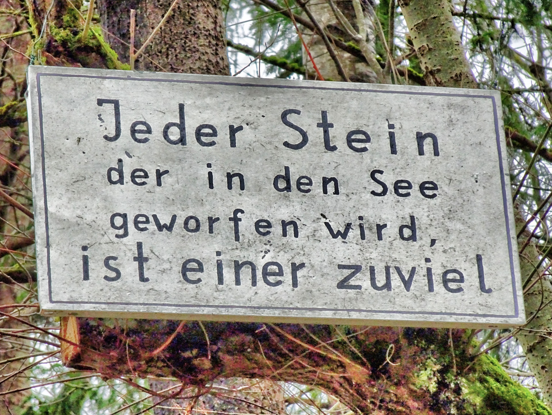 Every stone thrown in the lake is one too much