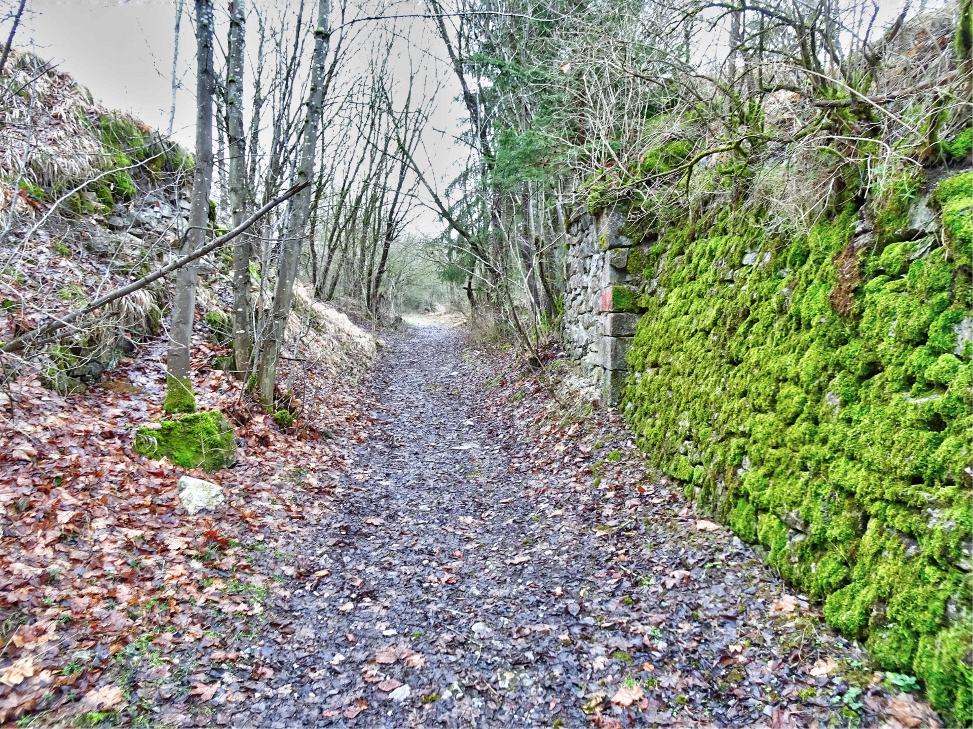 The way the prisoners have to go