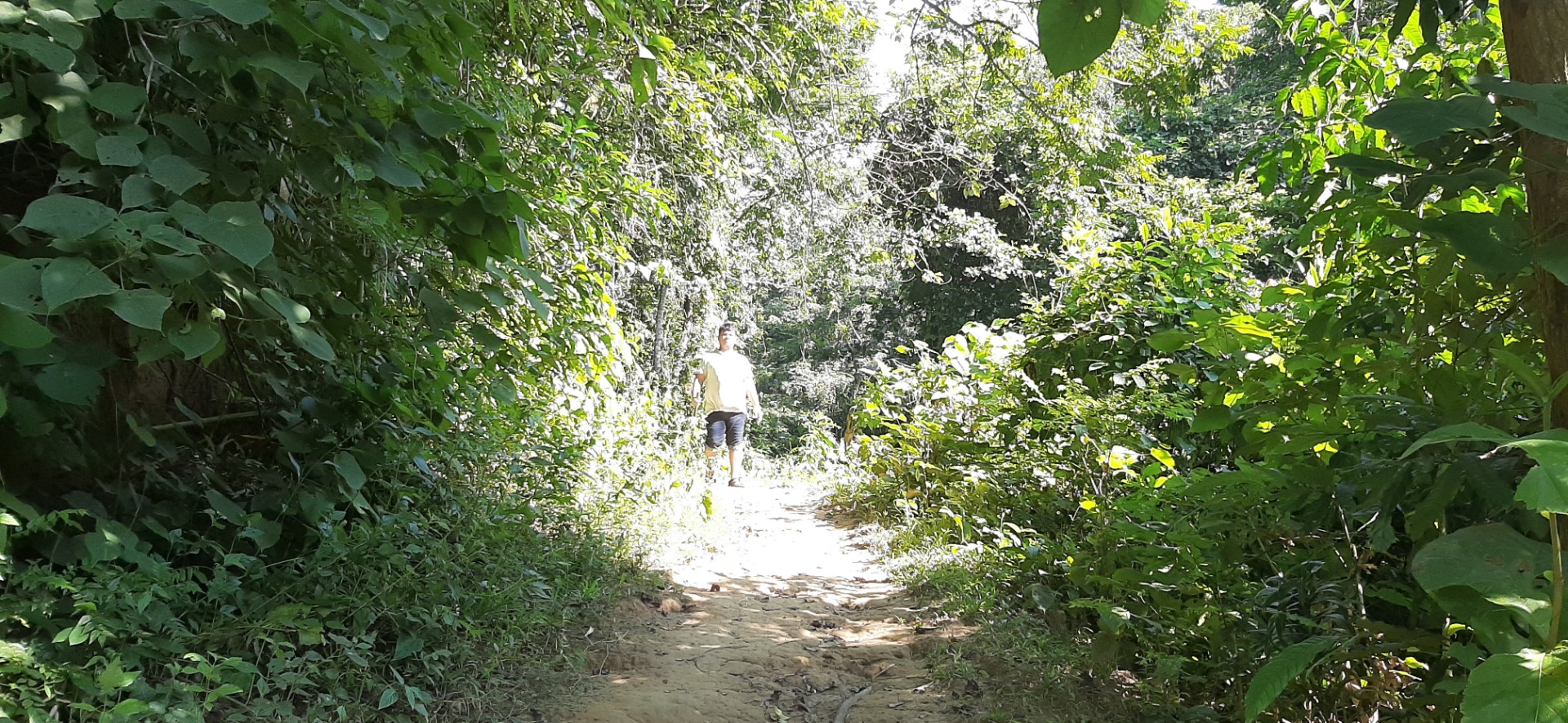 Top of the hill