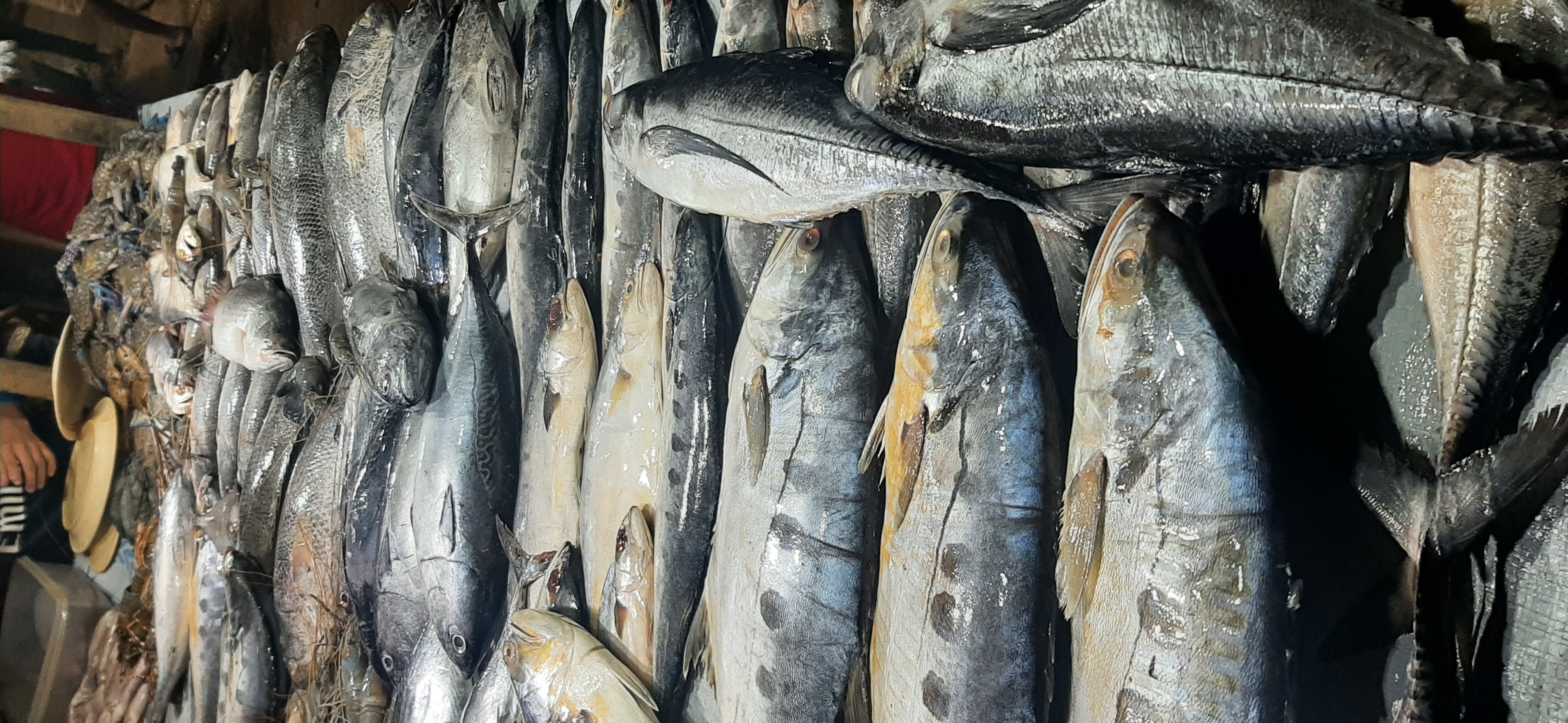 Tough to decide, which one to eat!