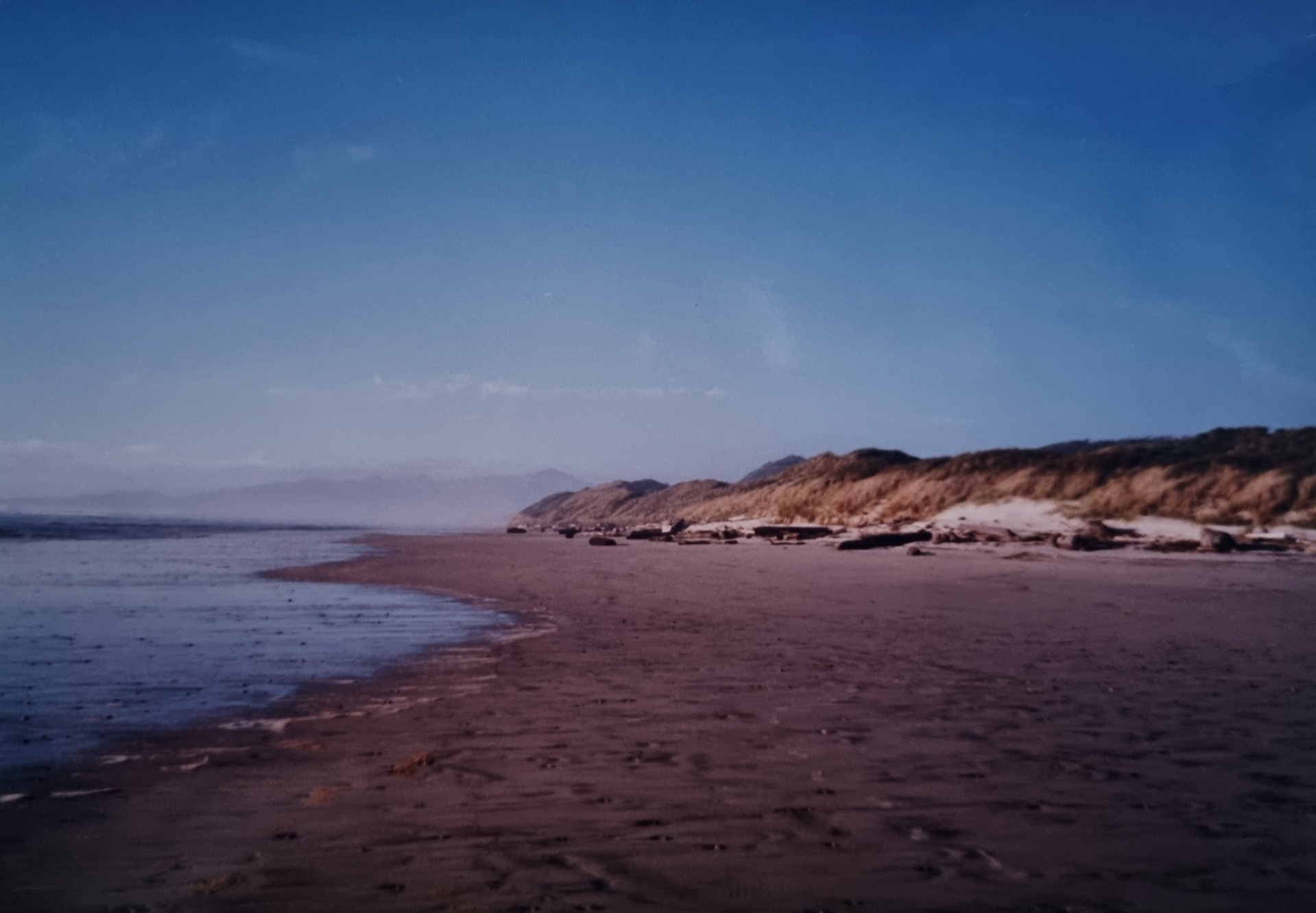 Ocean Beach, near Strahan