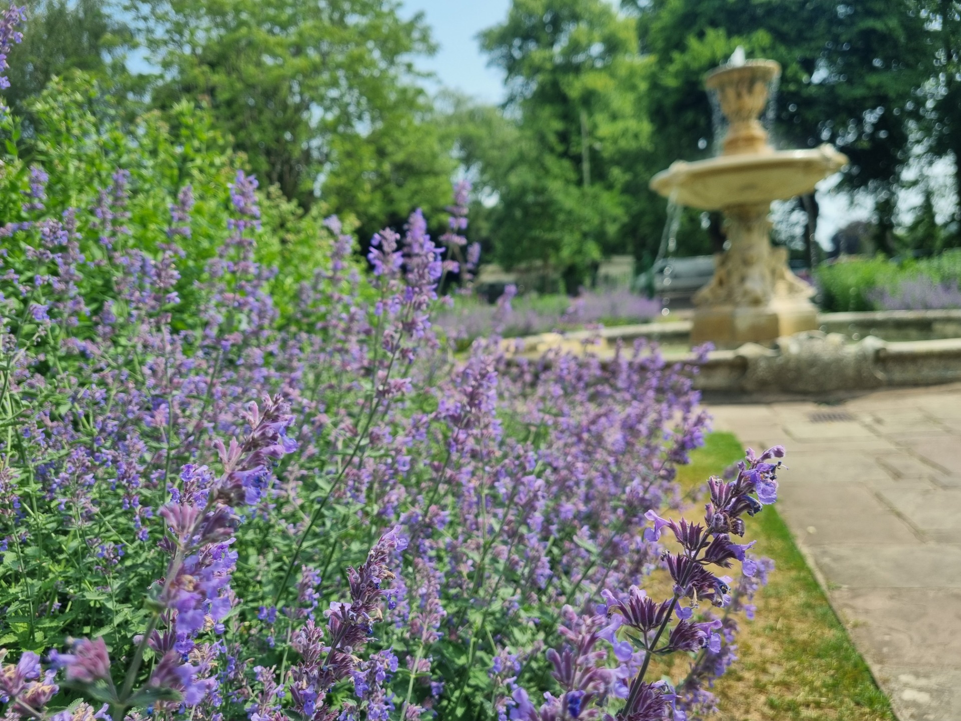 It was summer when we were there luckily it had stopped raining so there was a nice bit of color in the gardens.