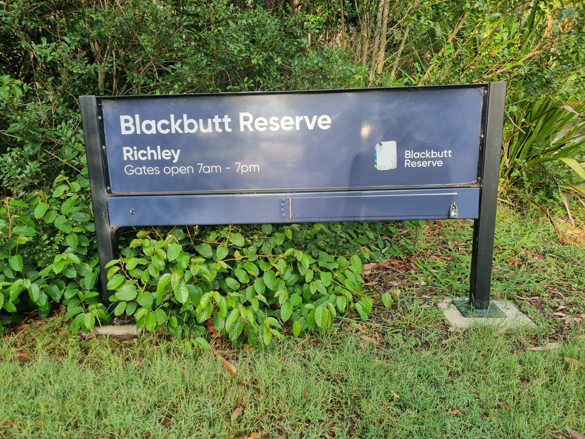 Blackbutt parkrun is held in the Richley Recreation Reserve, New Lambton, New South Wales. The course is run on a mixture of bitumen paths and grass. It has 120 metres of elevation gain which makes it one of the hardest in New South Wales and probably 10 ten in Australia! You have to do all the work in the first part of the run heading up hill, then there is a bit of an undulating ridge run before the fast downhill section.