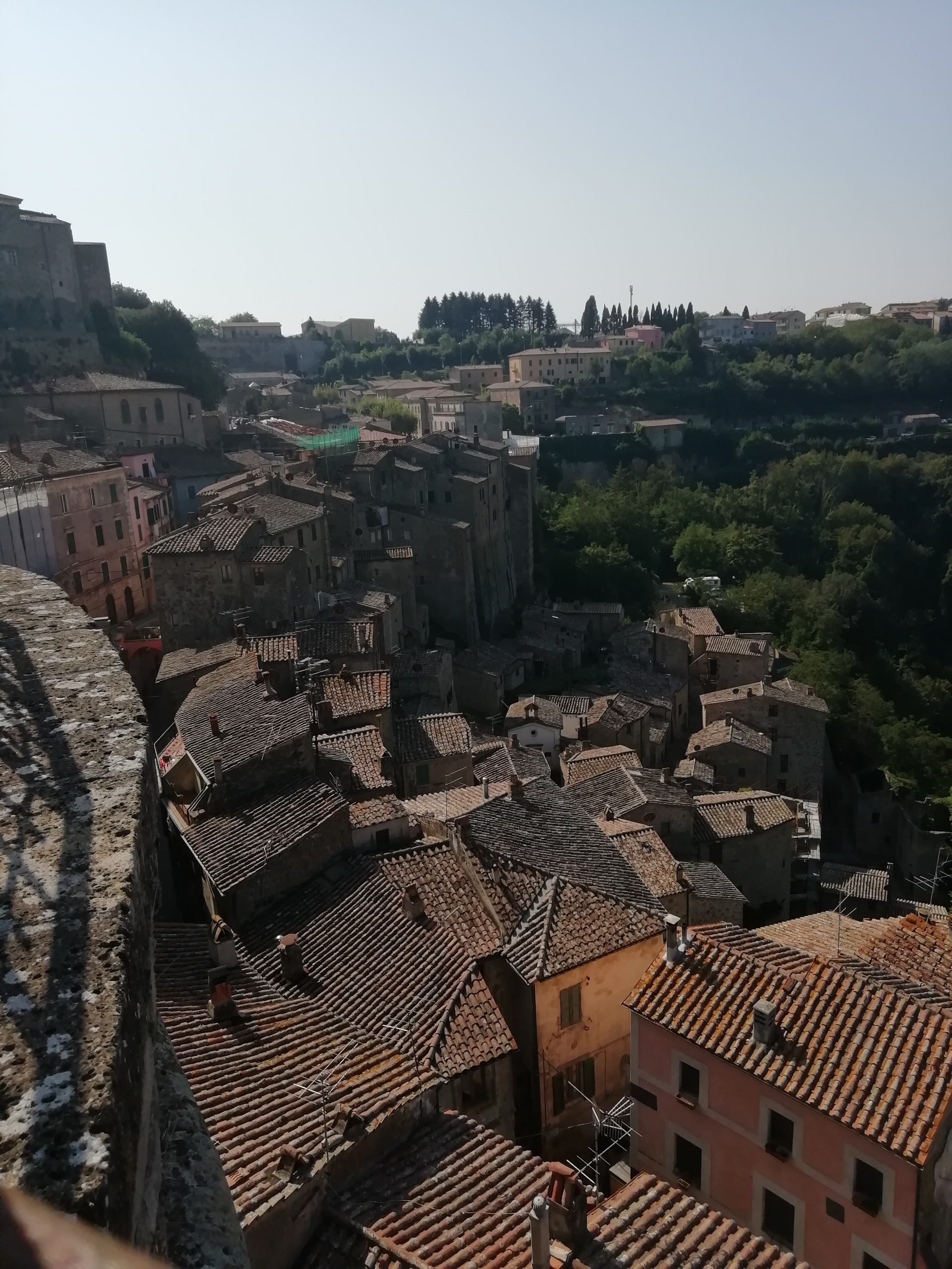 The view