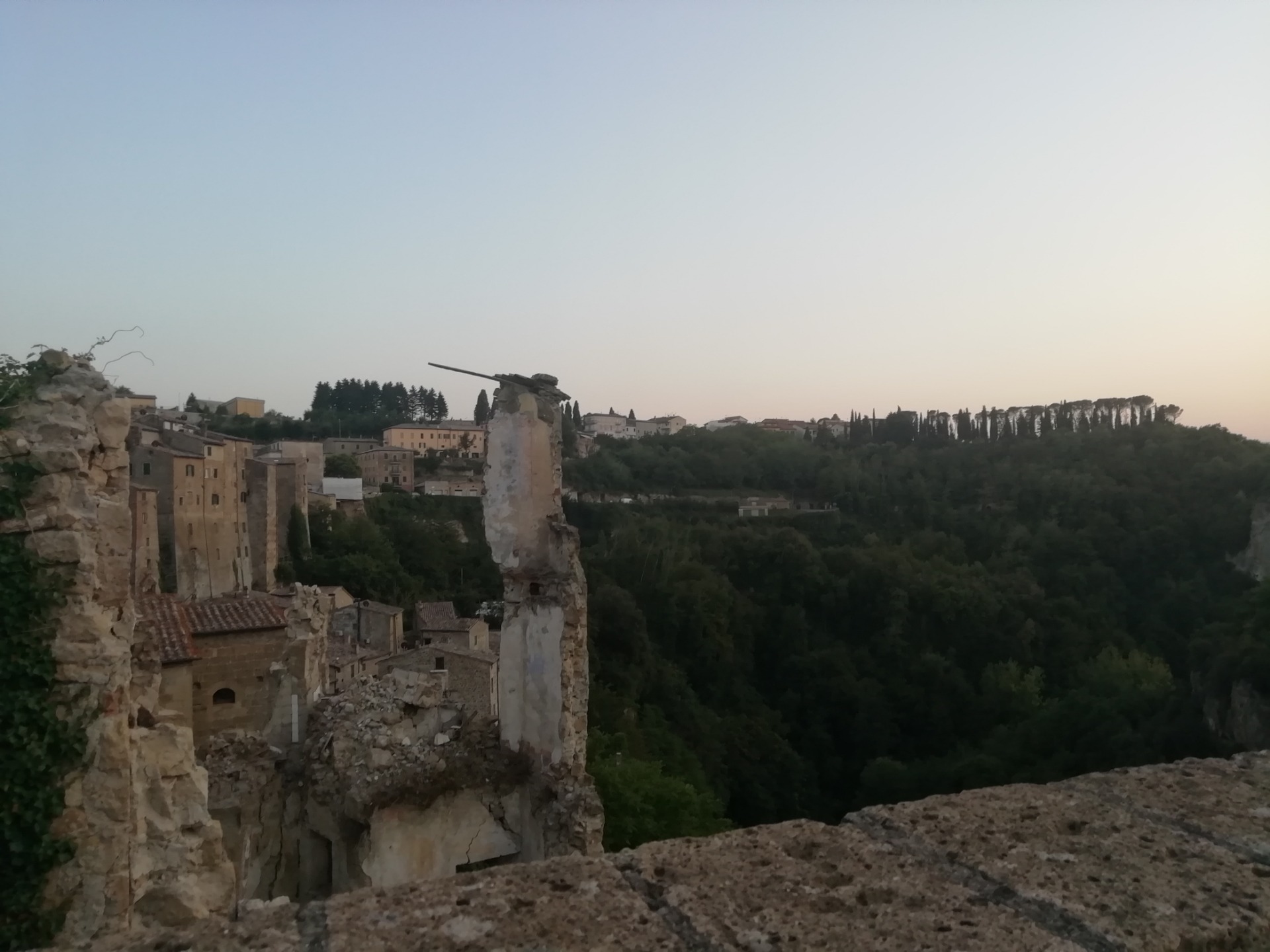 The view