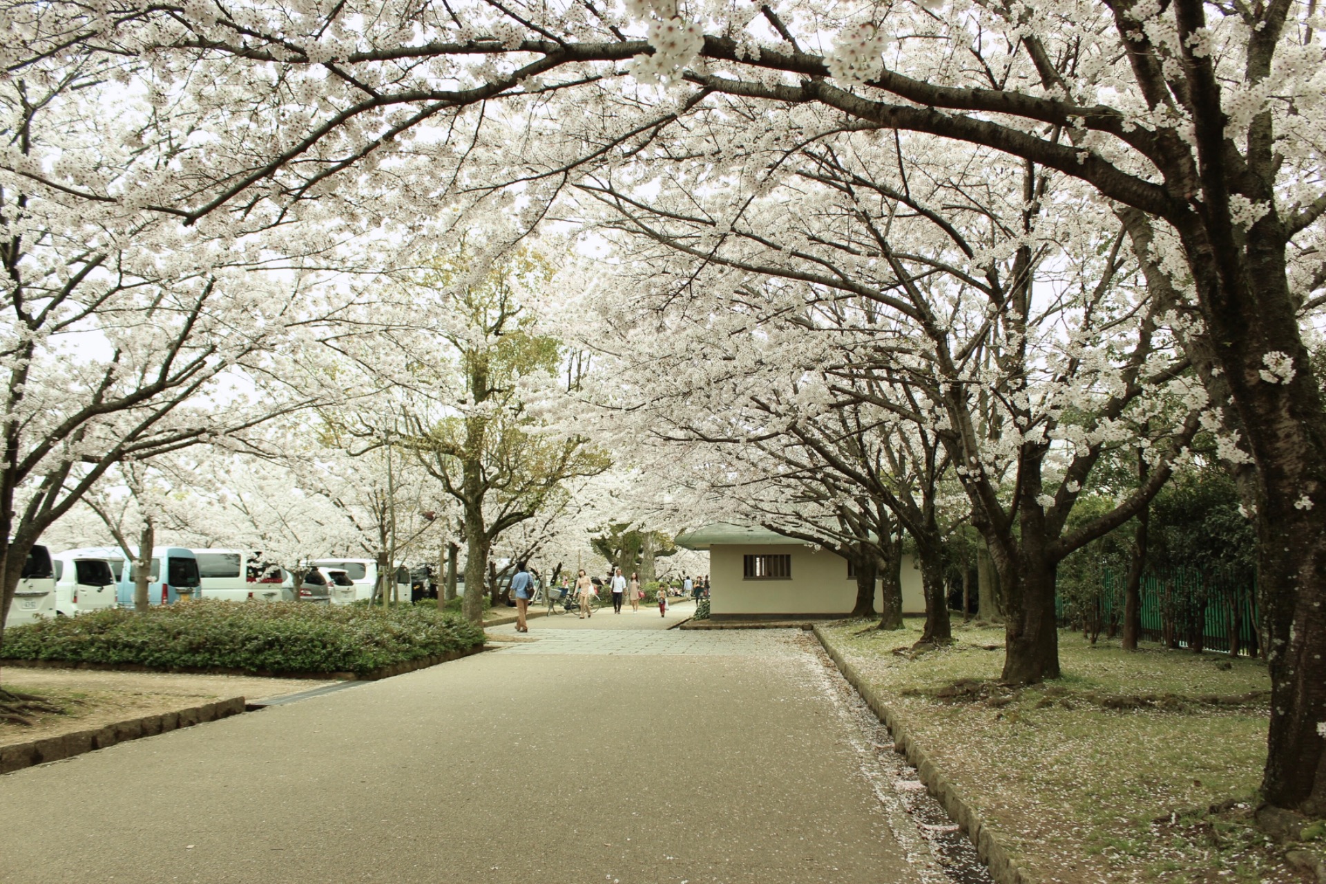 The park near castle