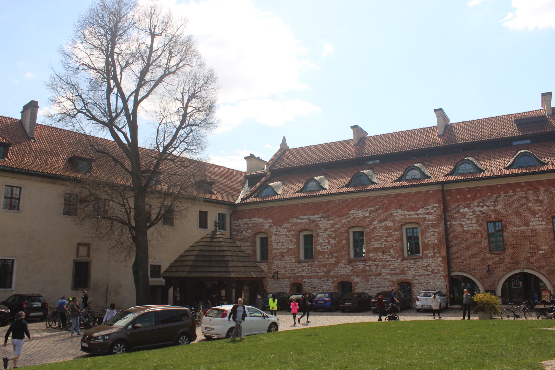 IMG_8698.JPG
