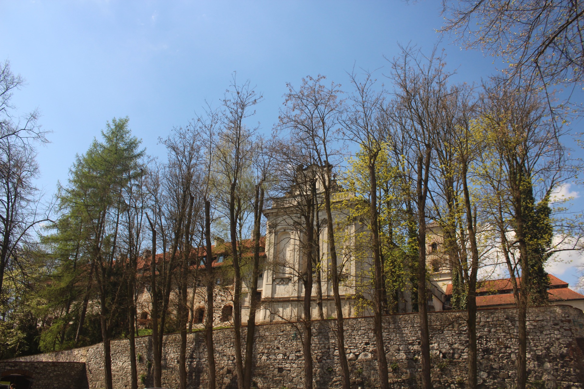 IMG_8740.JPG