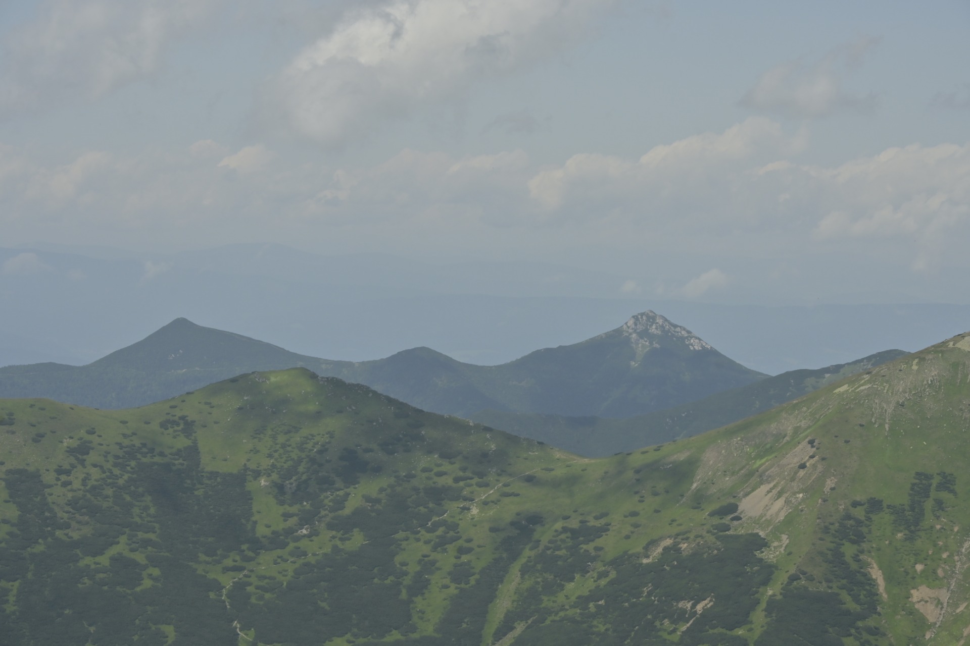 _DSC8825.JPG