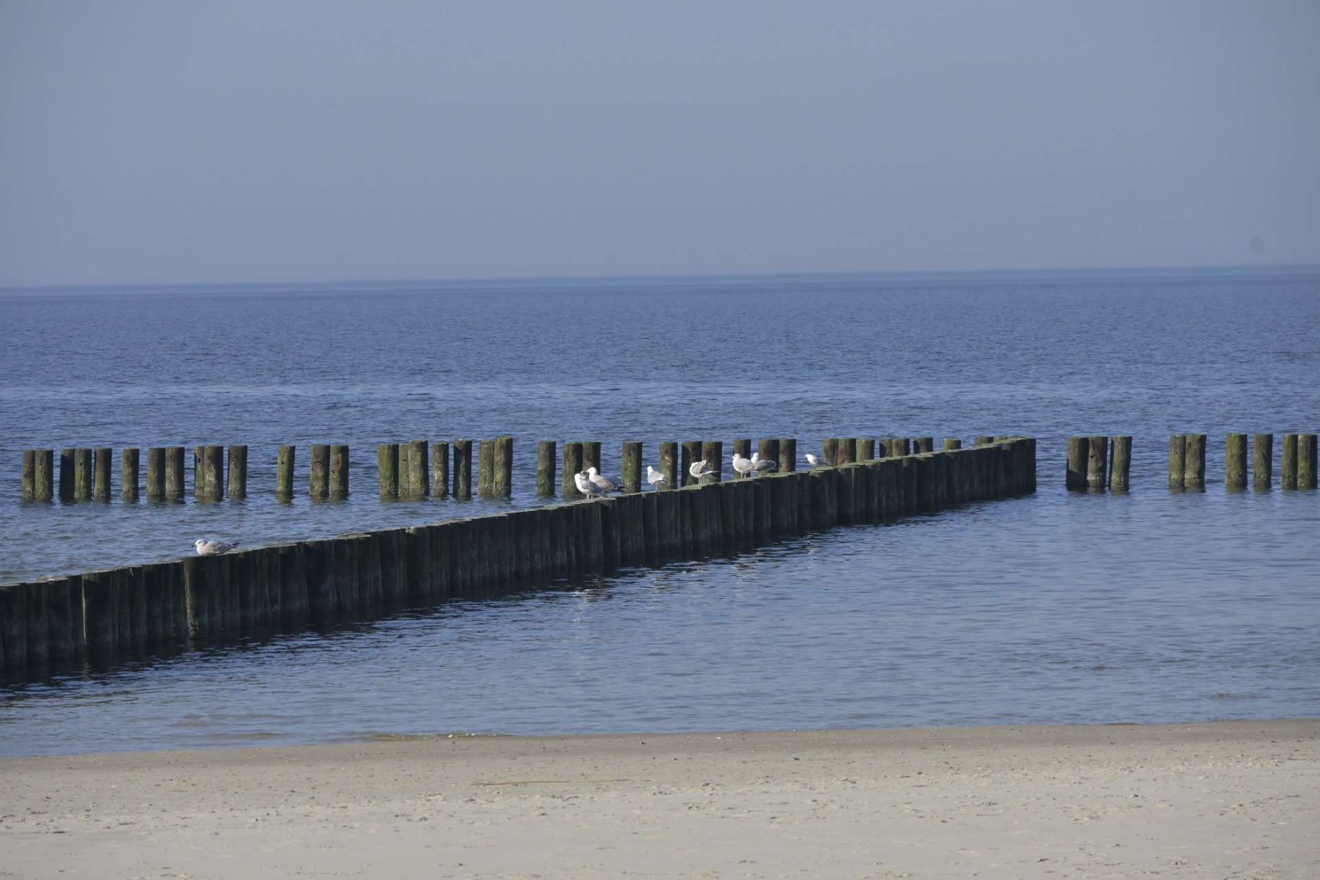 _DSC6087 — kopia.JPG