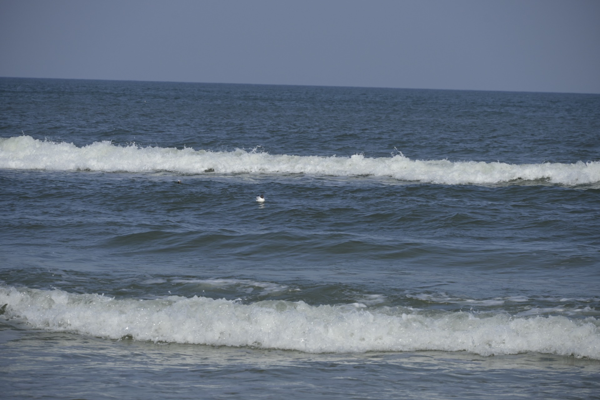 _DSC6316.JPG
