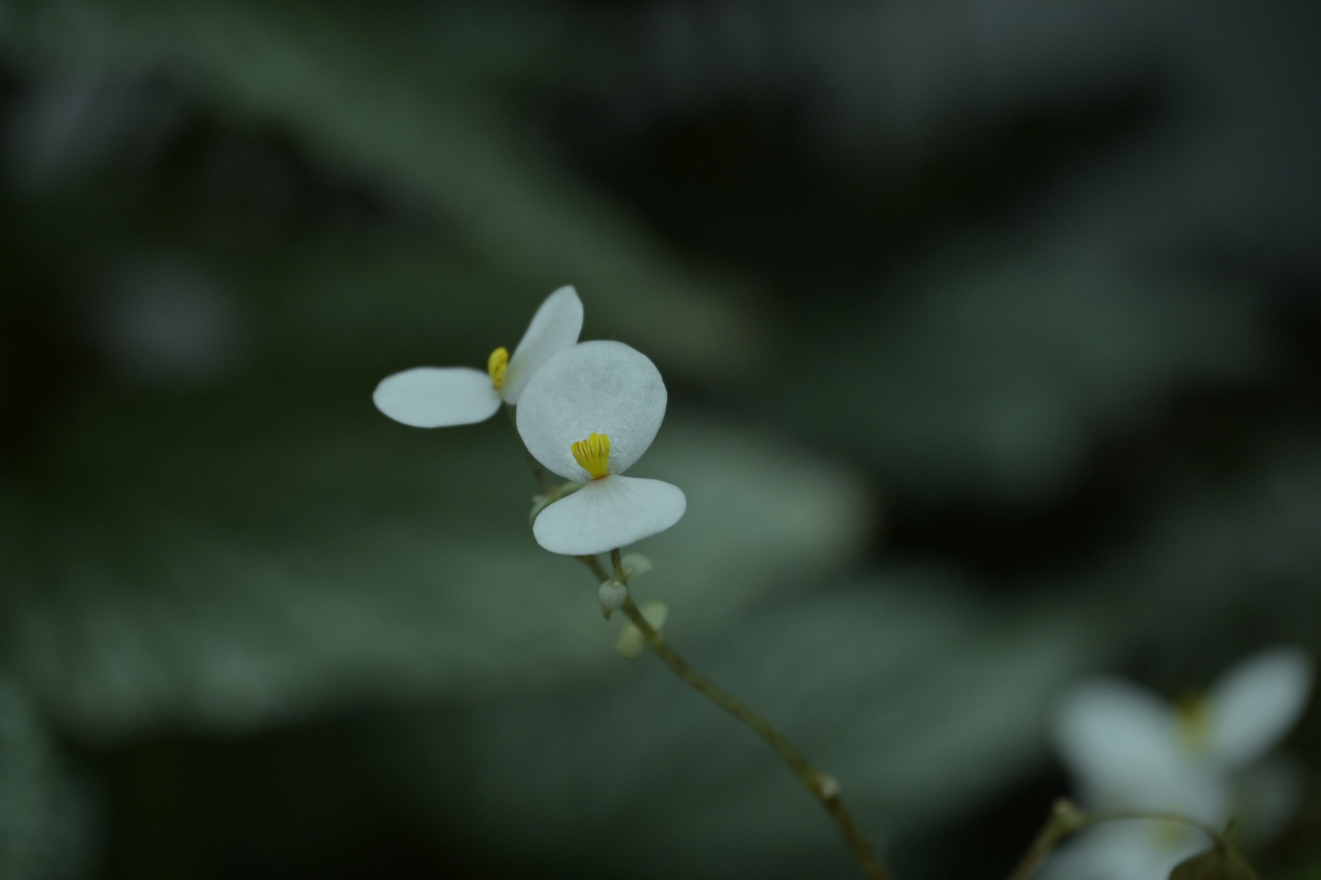 _DSC7644.JPG