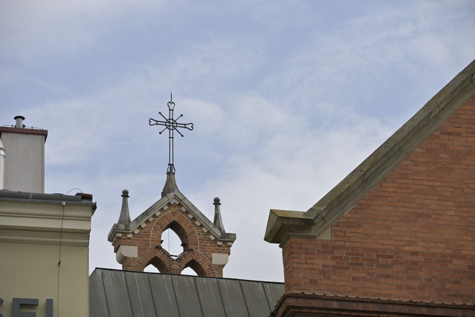 _DSC8447.JPG
