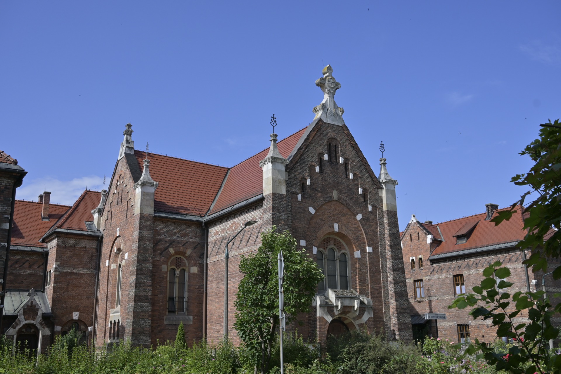 _DSC8374.JPG