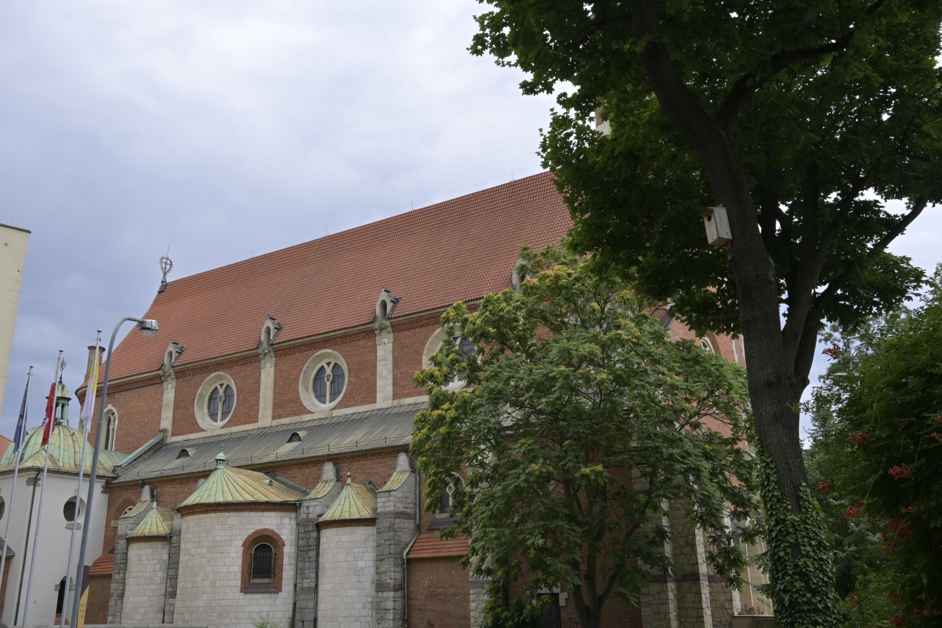 _DSC8623.JPG