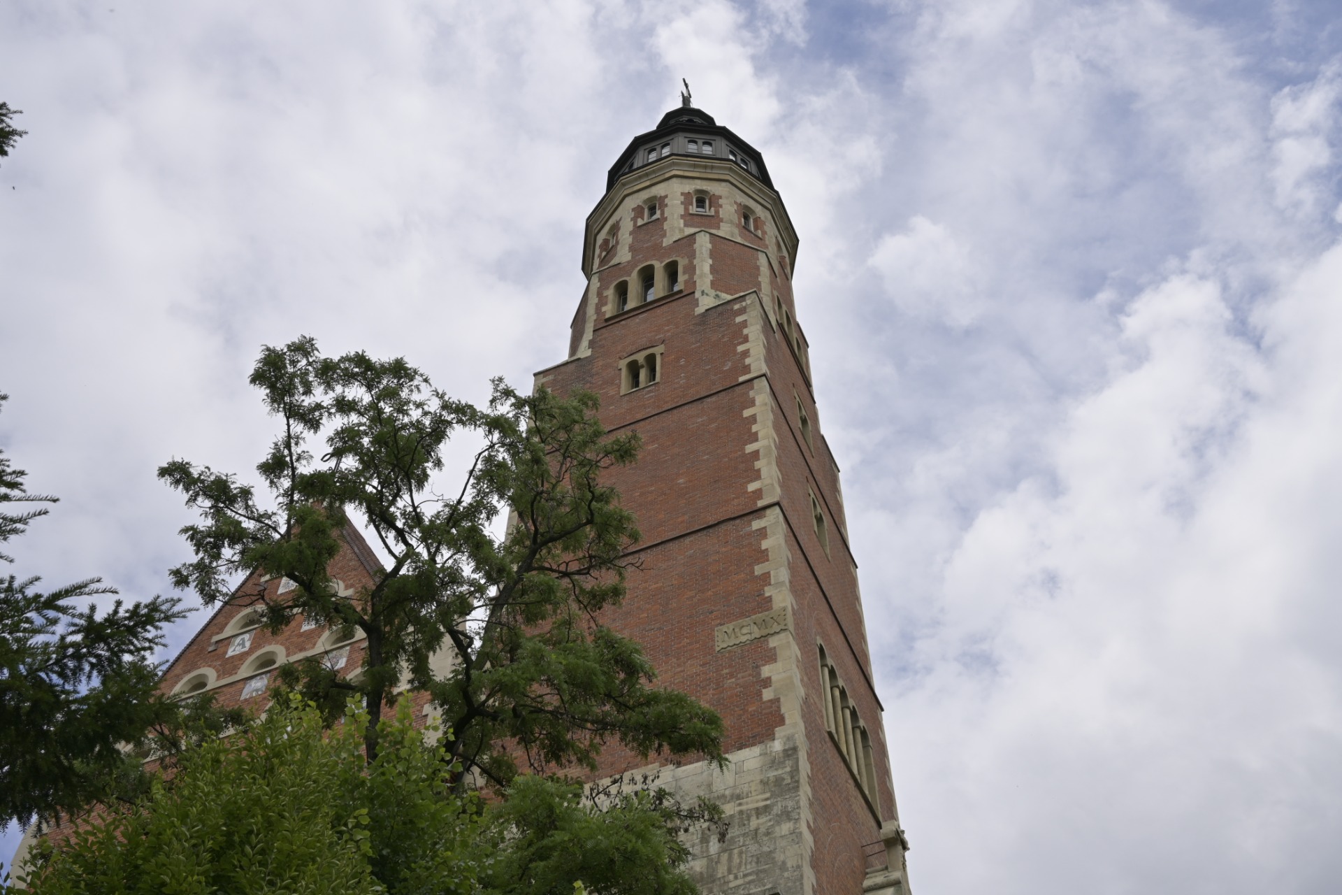 _DSC8625.JPG