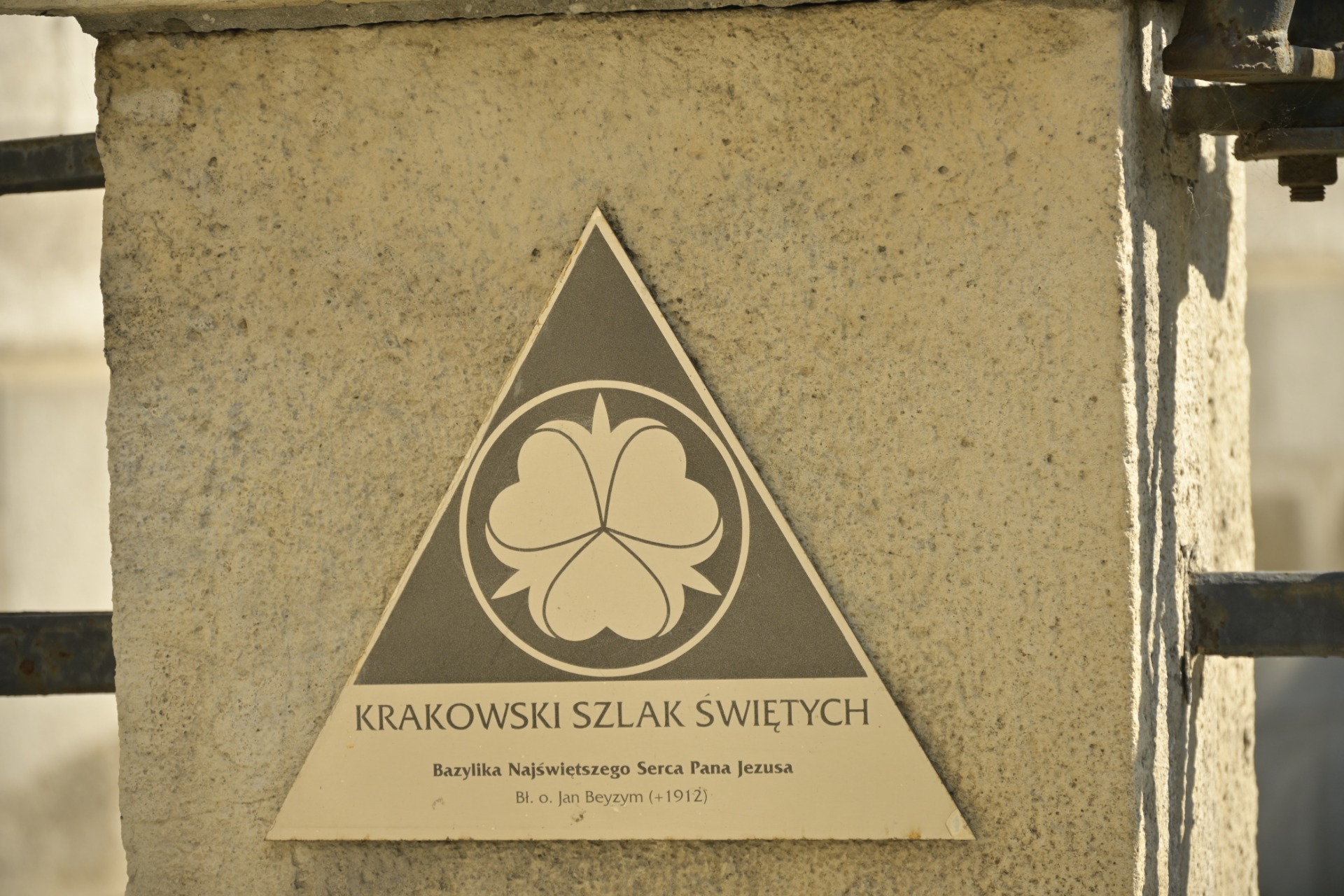 _DSC9059.JPG
