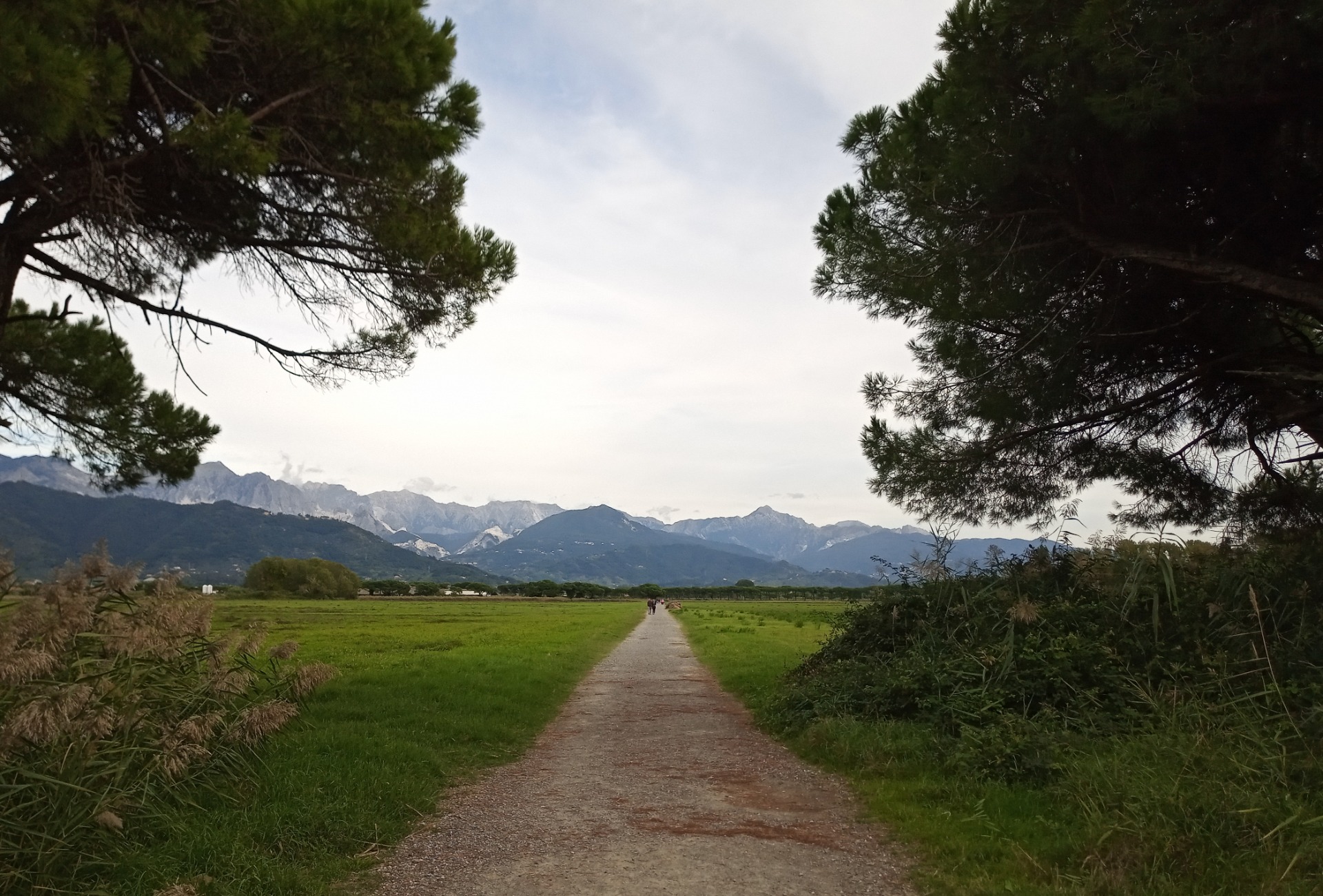 Initial Landscape in the Marinella's Estate