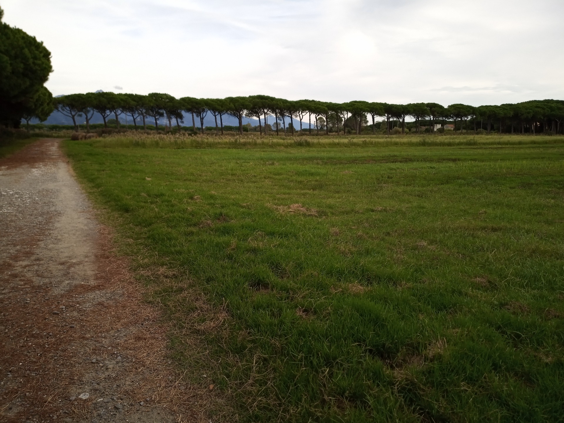 A slice of the Estate