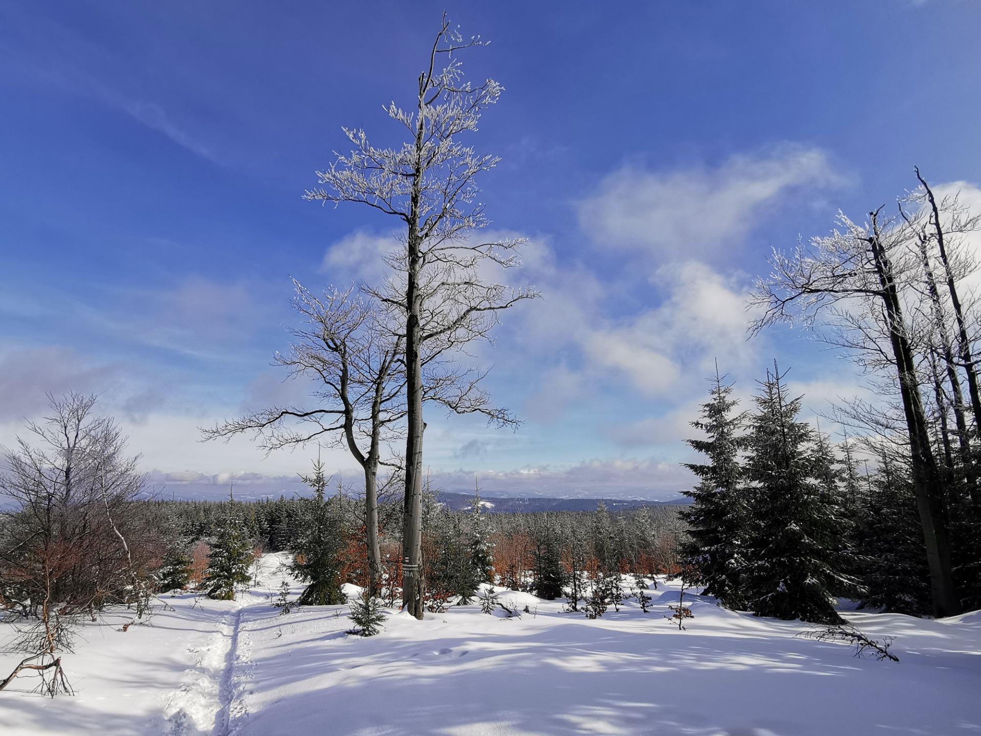 Trail in snow with a panorama of distant mountains across borders.