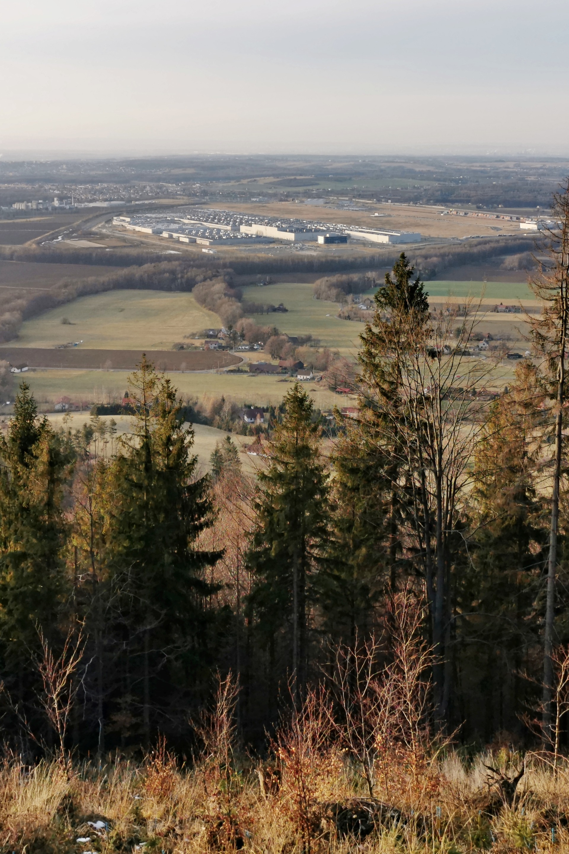 The Hyundai factory.