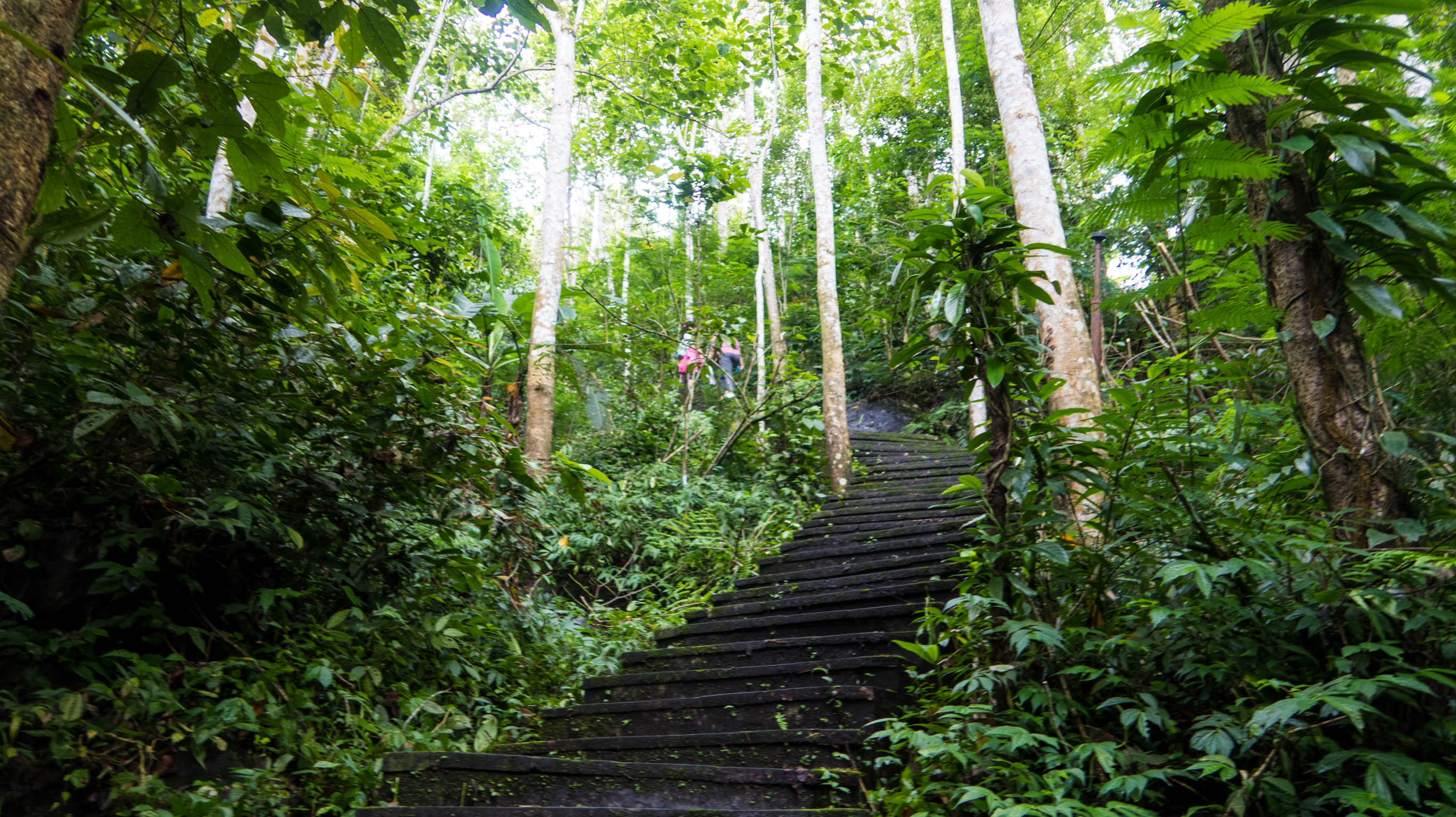 Long-suffering journey back up.