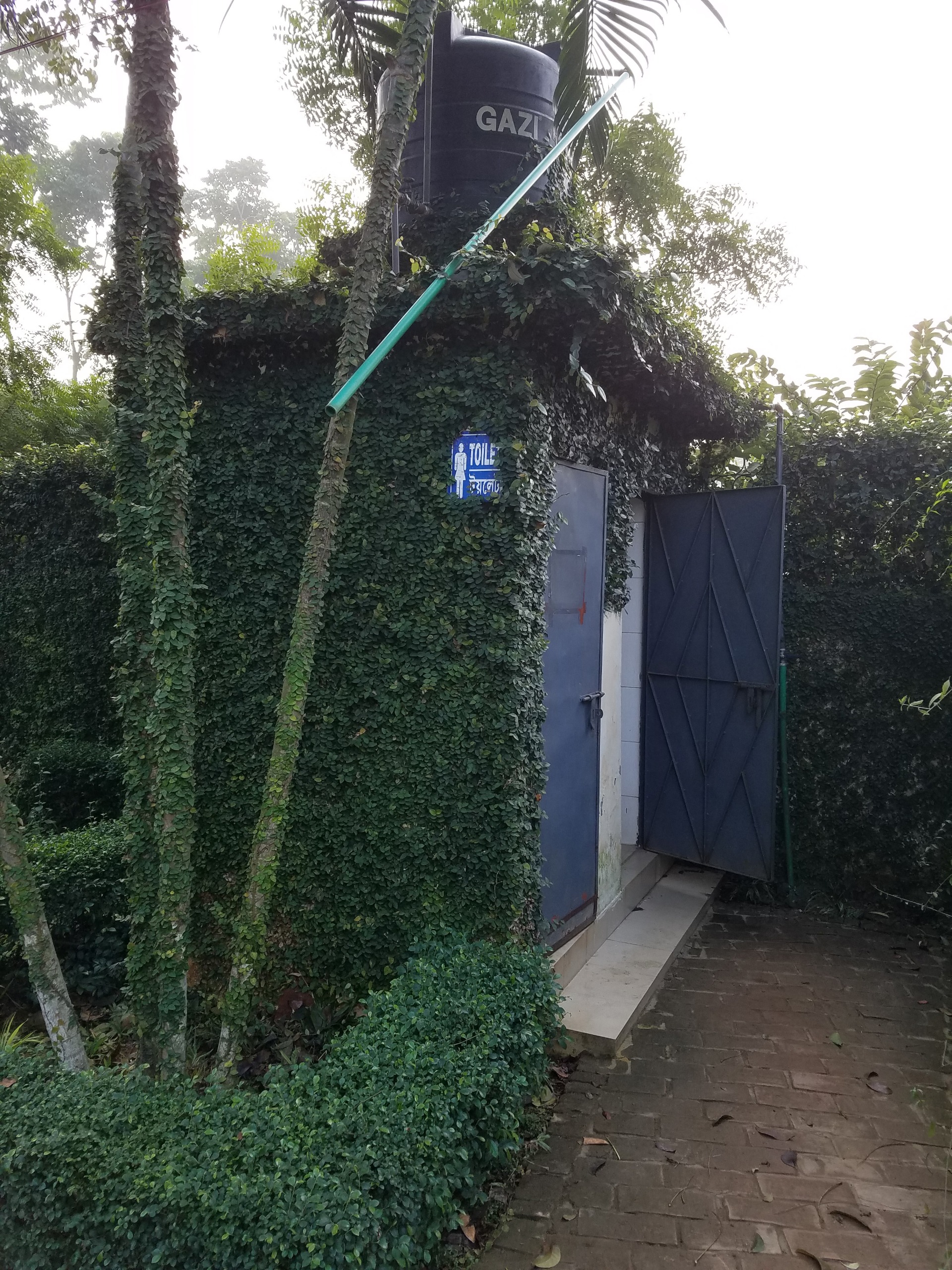 Toilet