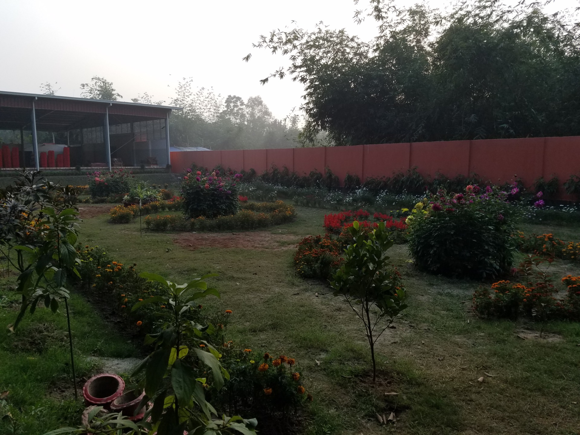 Flower Garden