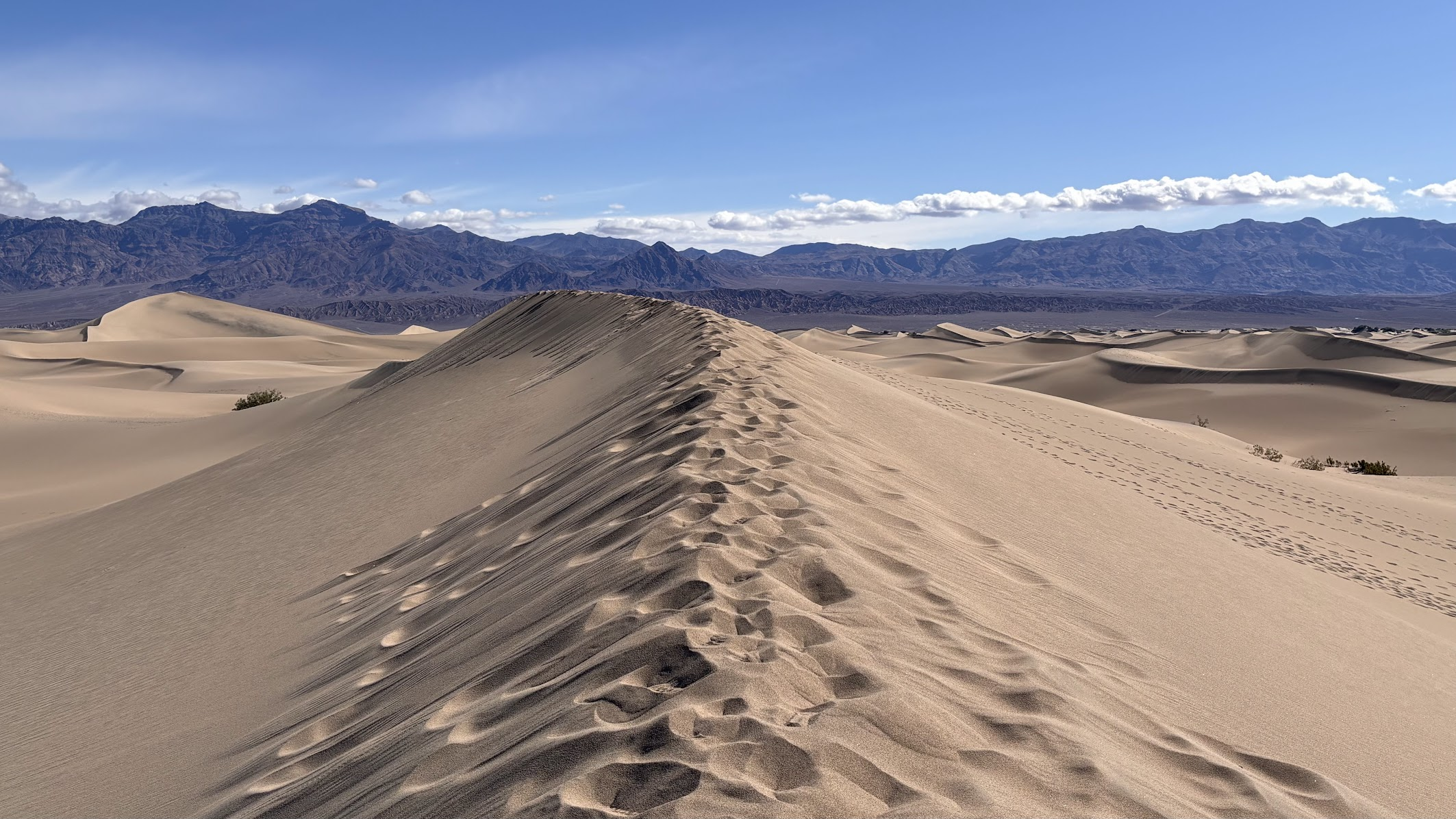 Mesquite Dunes - Death Valley National Park, California