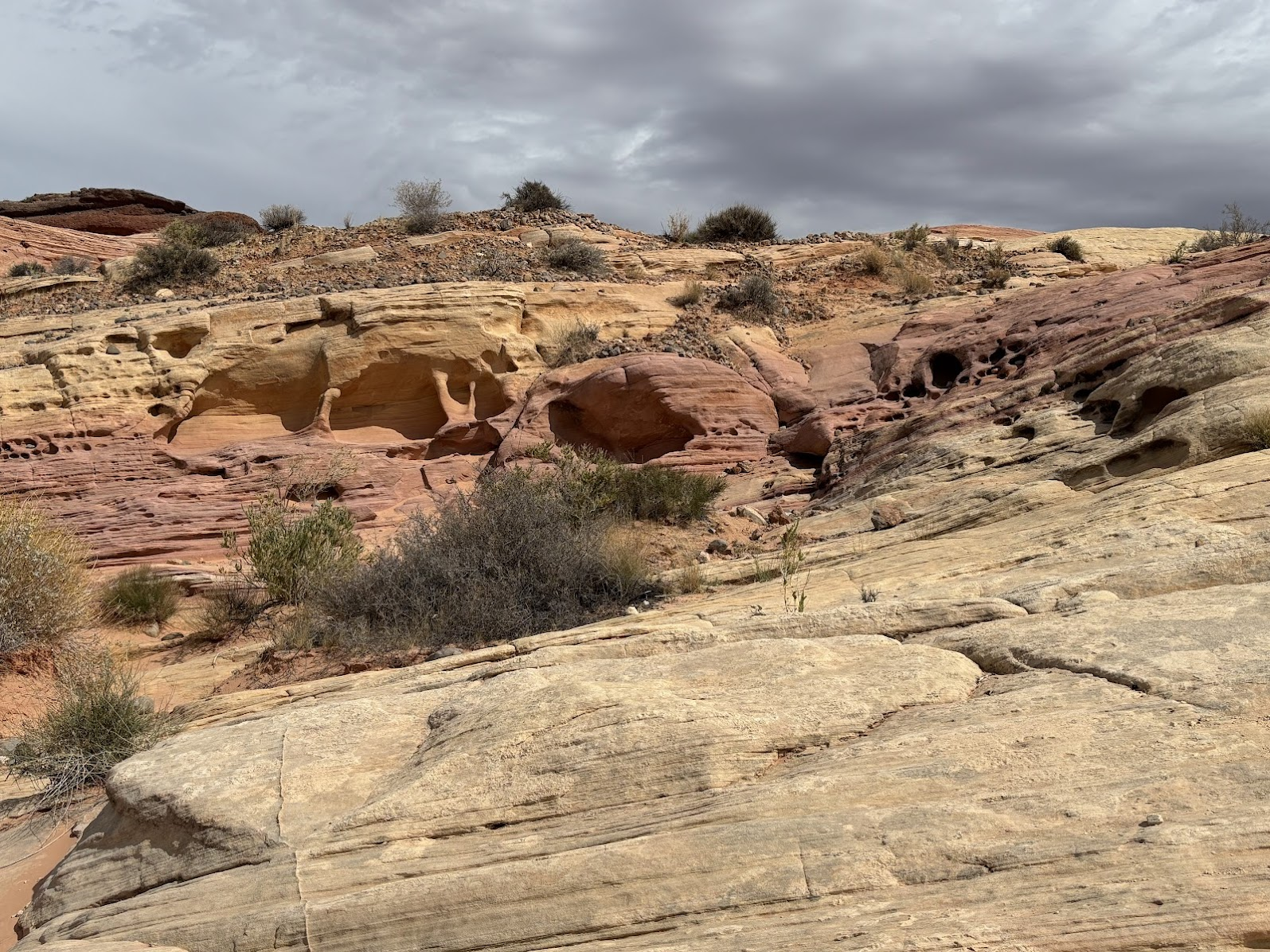 Layers of sandstone - Valley of Fire State Park, NV