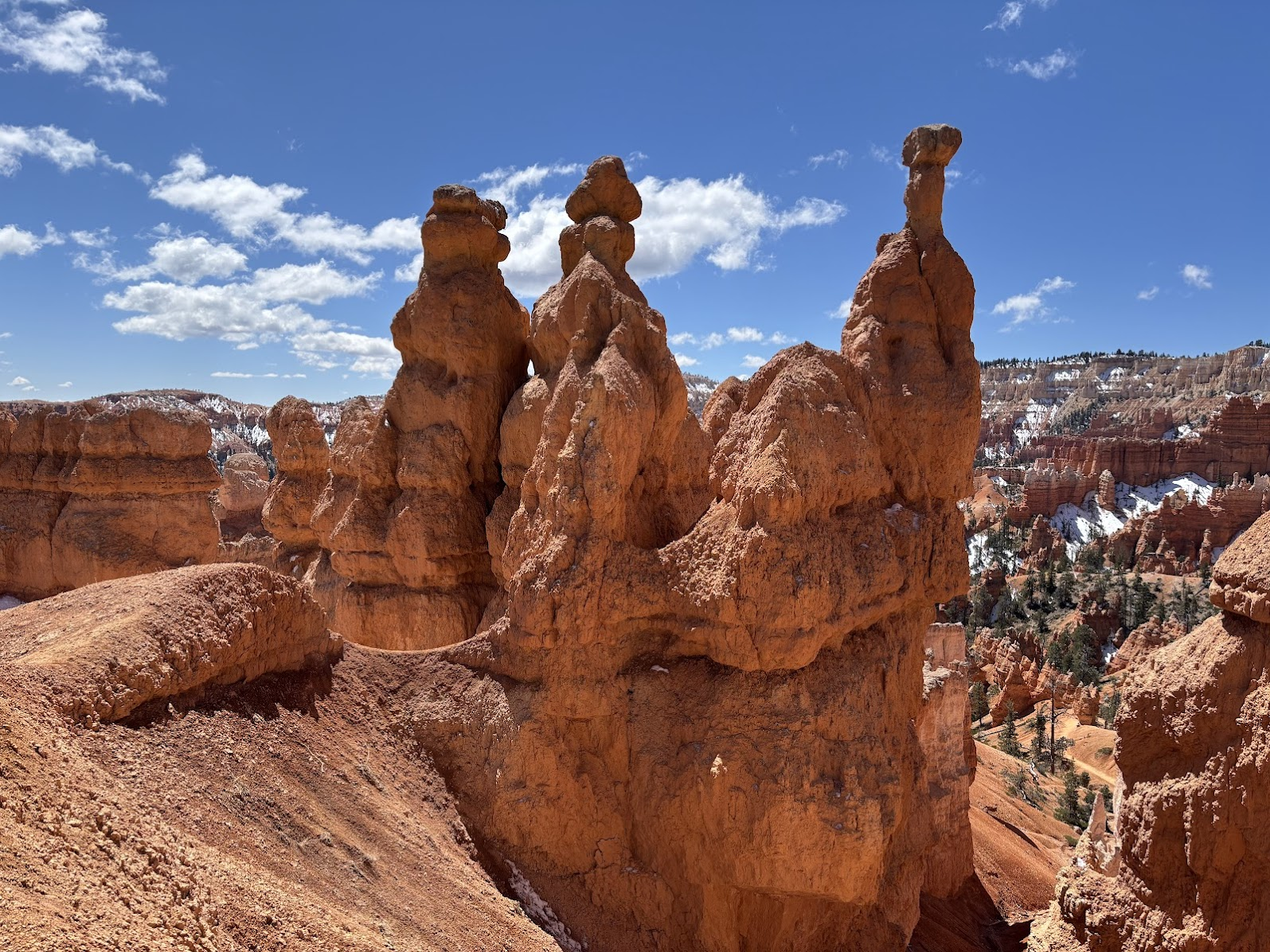 A Group of Hoodoos, Bryce National Park, UT