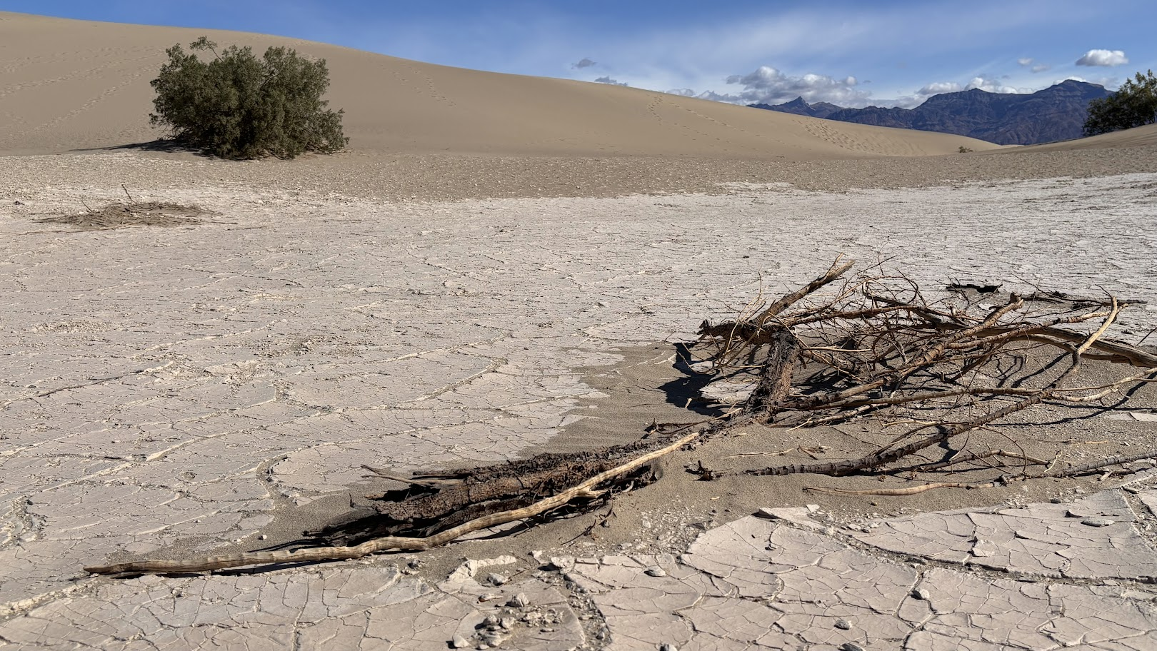 Future sandstone formation - Death Valley Mesquite Dunes, CA