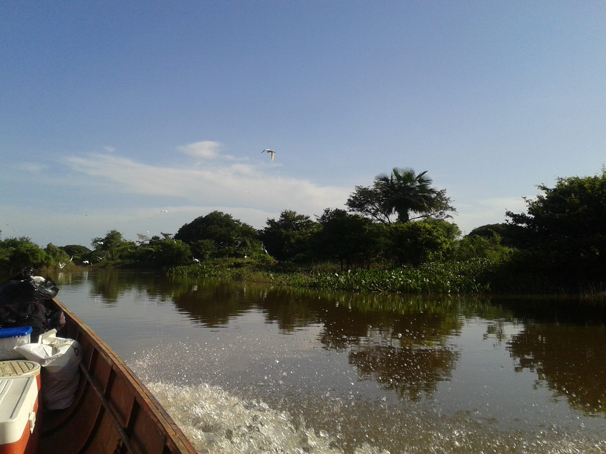 In nature / En la naturaleza