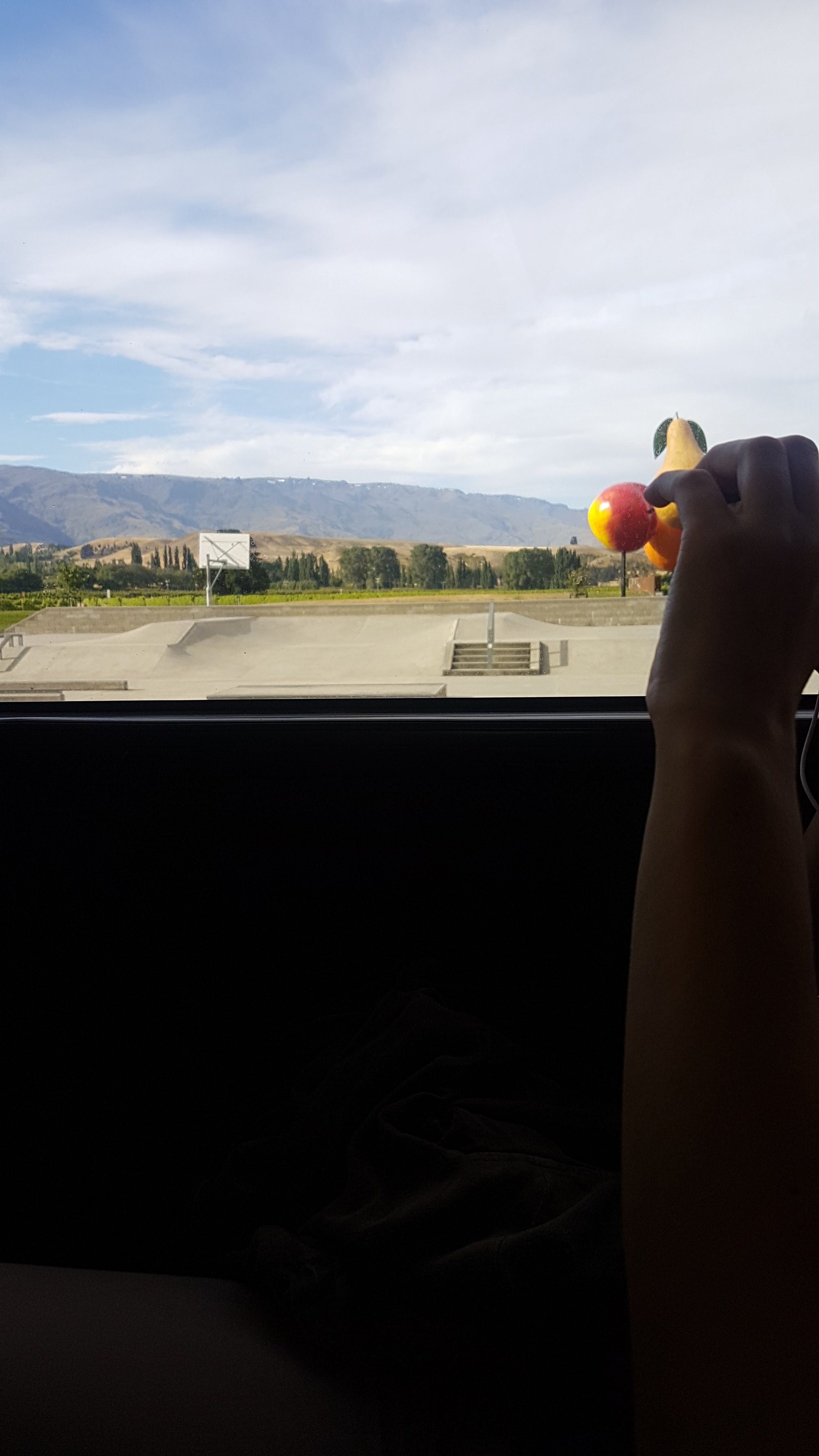 Some Giant fruit in a place called ’Arrow Town’