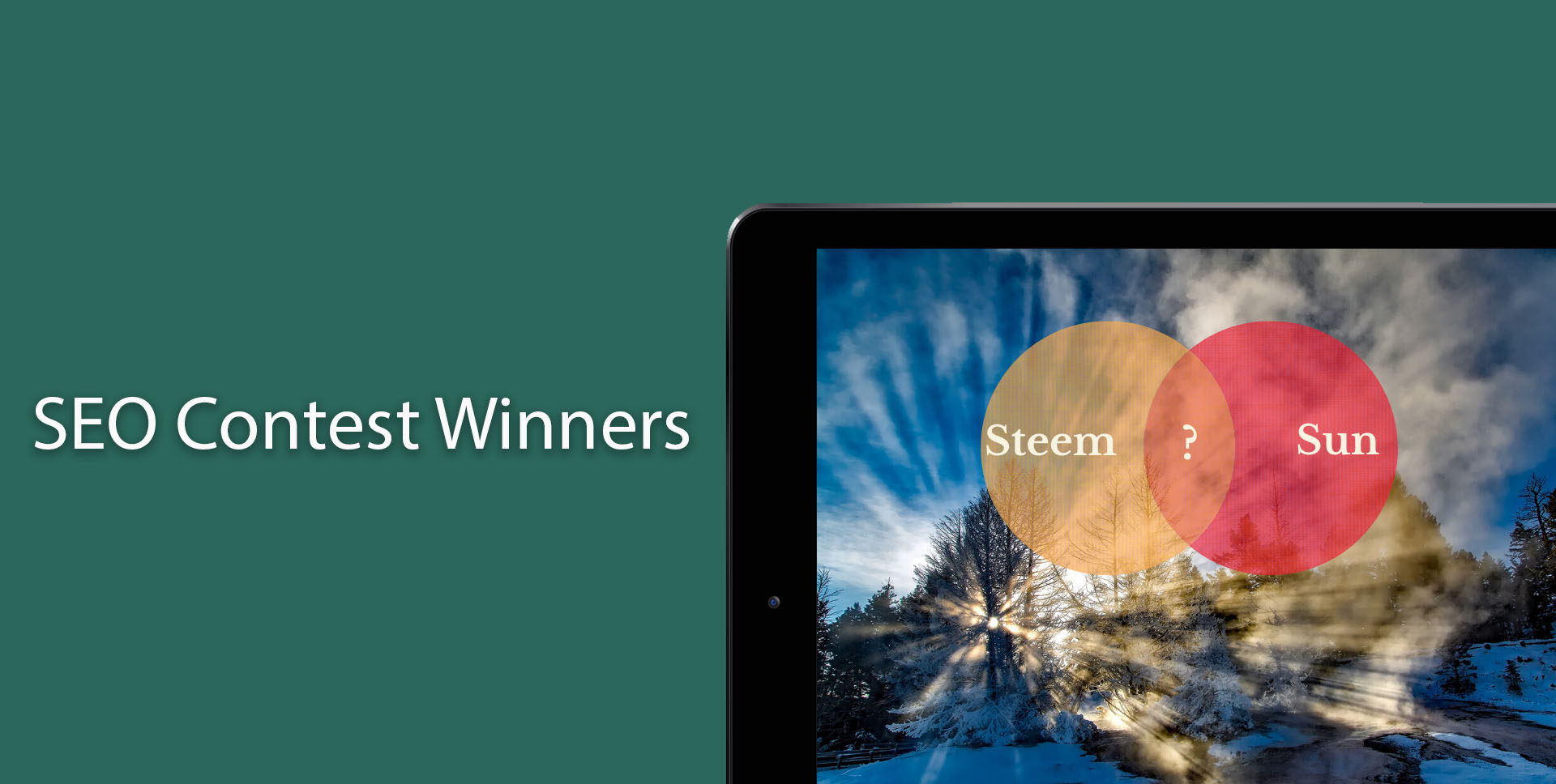 SEO Contest Winners