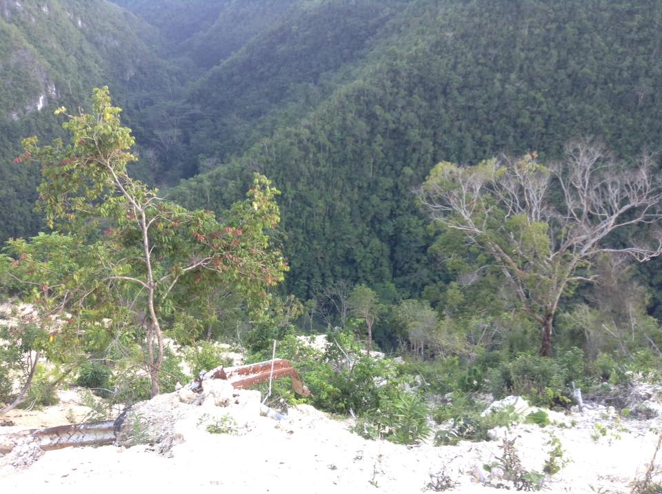 Ain’t darin’ to come down man!